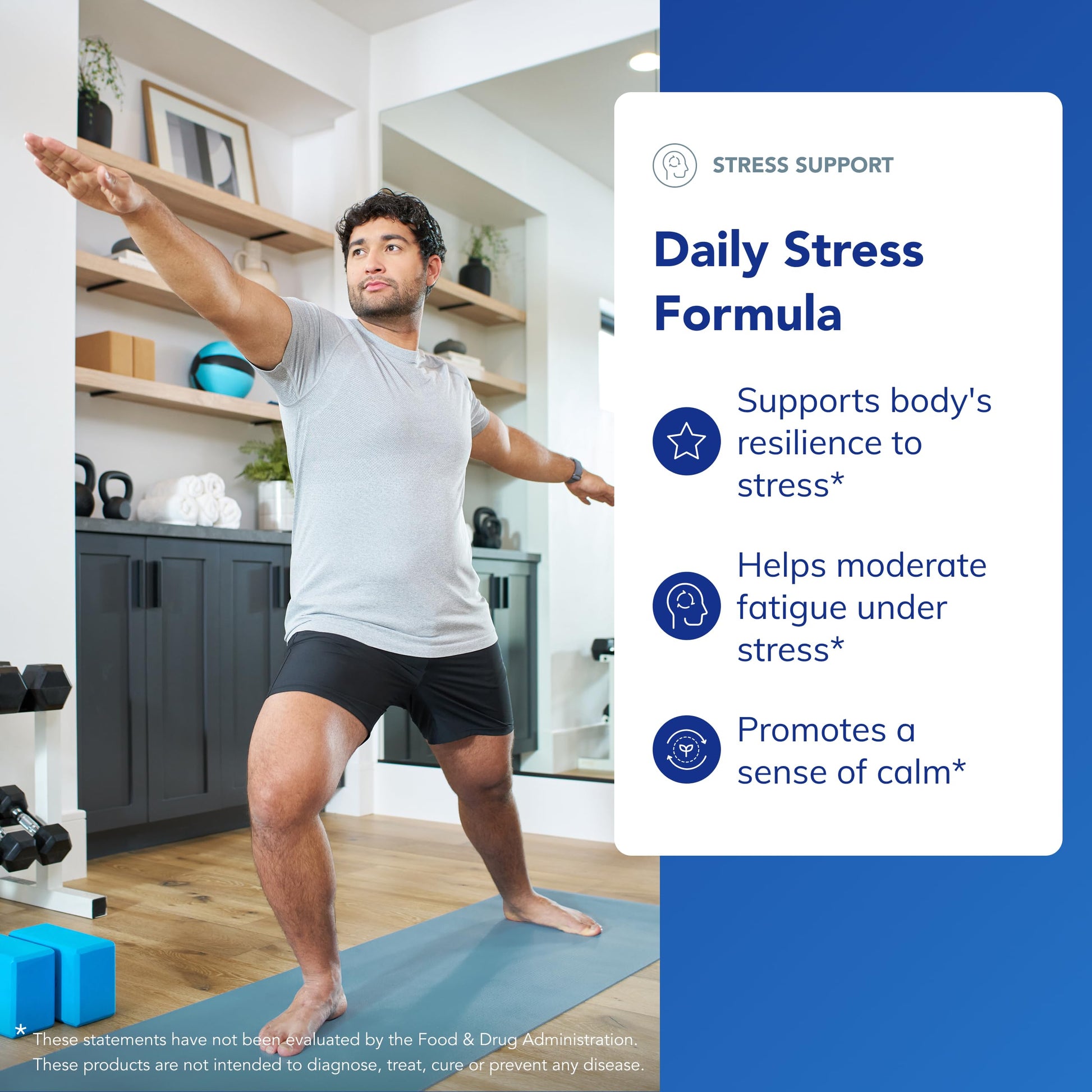 Pure Encapsulations Daily Stress Formula | Promotes Relaxation and Moderates the Effects of Occasional Stress*| 180 Capsules Pure EncapsulationsAu supplements
