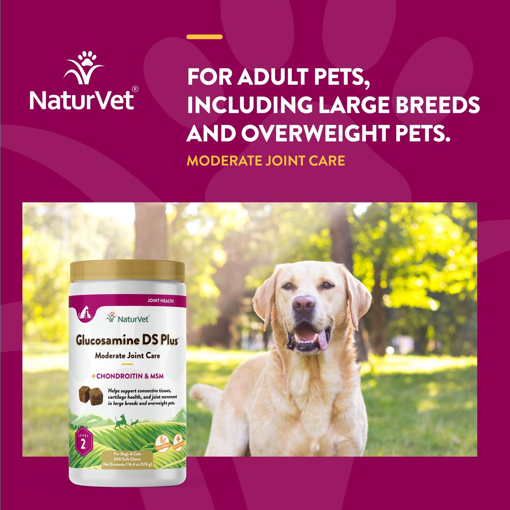NaturVet – Glucosamine DS Plus - Level 2 Moderate Care – Supports Healthy Hip & Joint Function – Enhanced with Glucosamine, MSM & Chondroitin – for Dogs & Cats – 240 Soft Chews NaturVetAu supplements