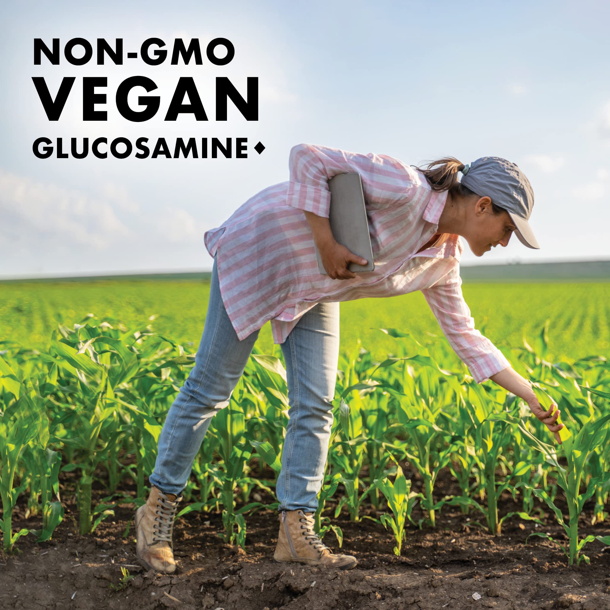 BlueBonnet Vegetarian Glucosamine Plus MSM Supplement, 120 Count ('743715011151) BlueBonnetAu supplements