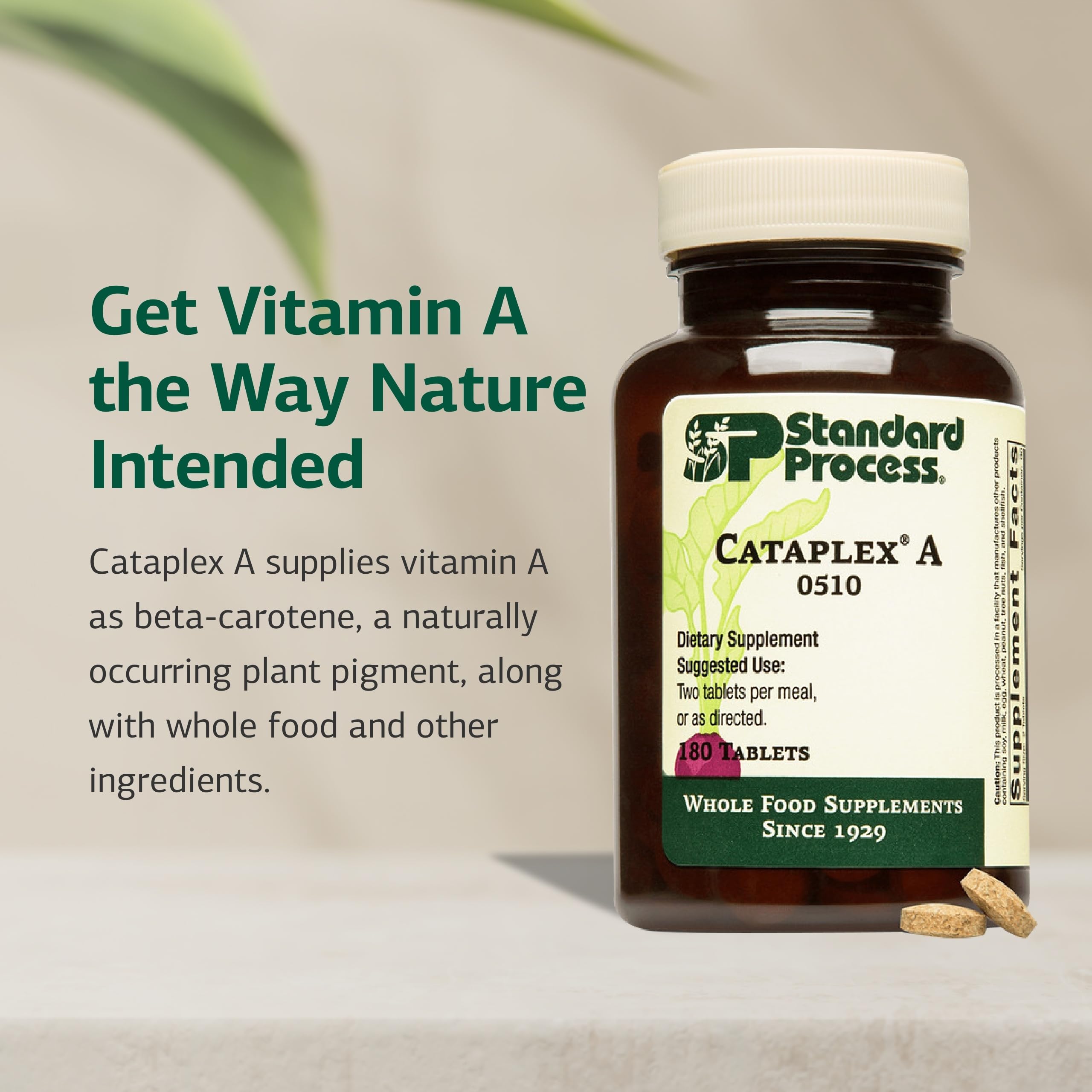 Standard Process Cataplex A - Supports Eye Health & Mucous Membranes - Supports Healthy Vision & Provides Antioxidant Vitamin A - Non-Dairy & Non-Soy - 180 Tablets Standard Process Inc.Au supplements