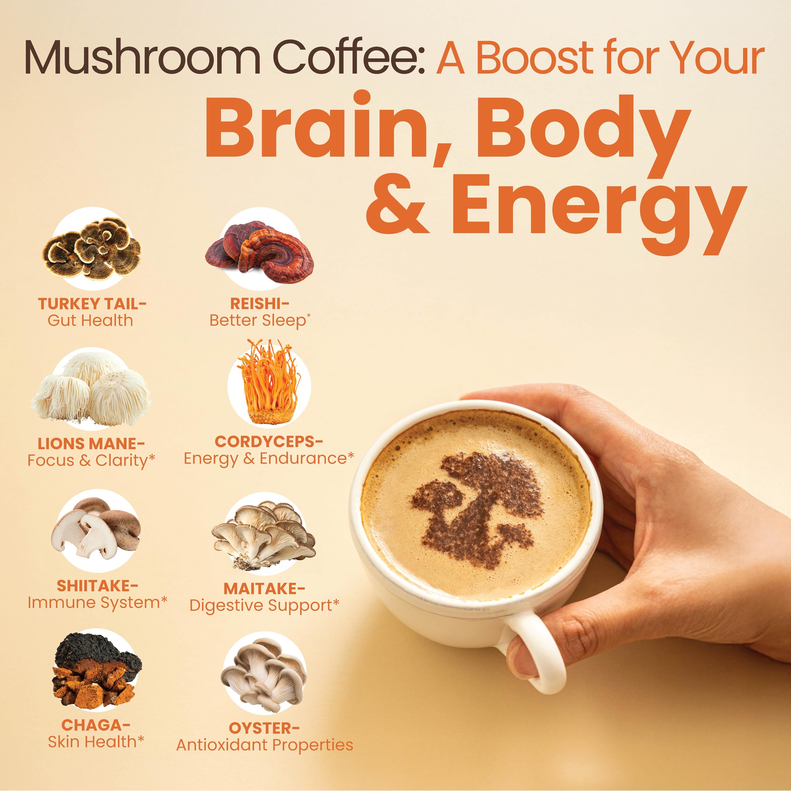 Focus Coffee Mushroom Blend, Nootropic Complex Coffee, Supports Alertness and Clarity, (Lion’s Mane, Cordyceps, Turkey Tail) Green Coffee Bean Instant Coffee for Focus & Gut Health, 30 Servings Rapid FireAu supplements