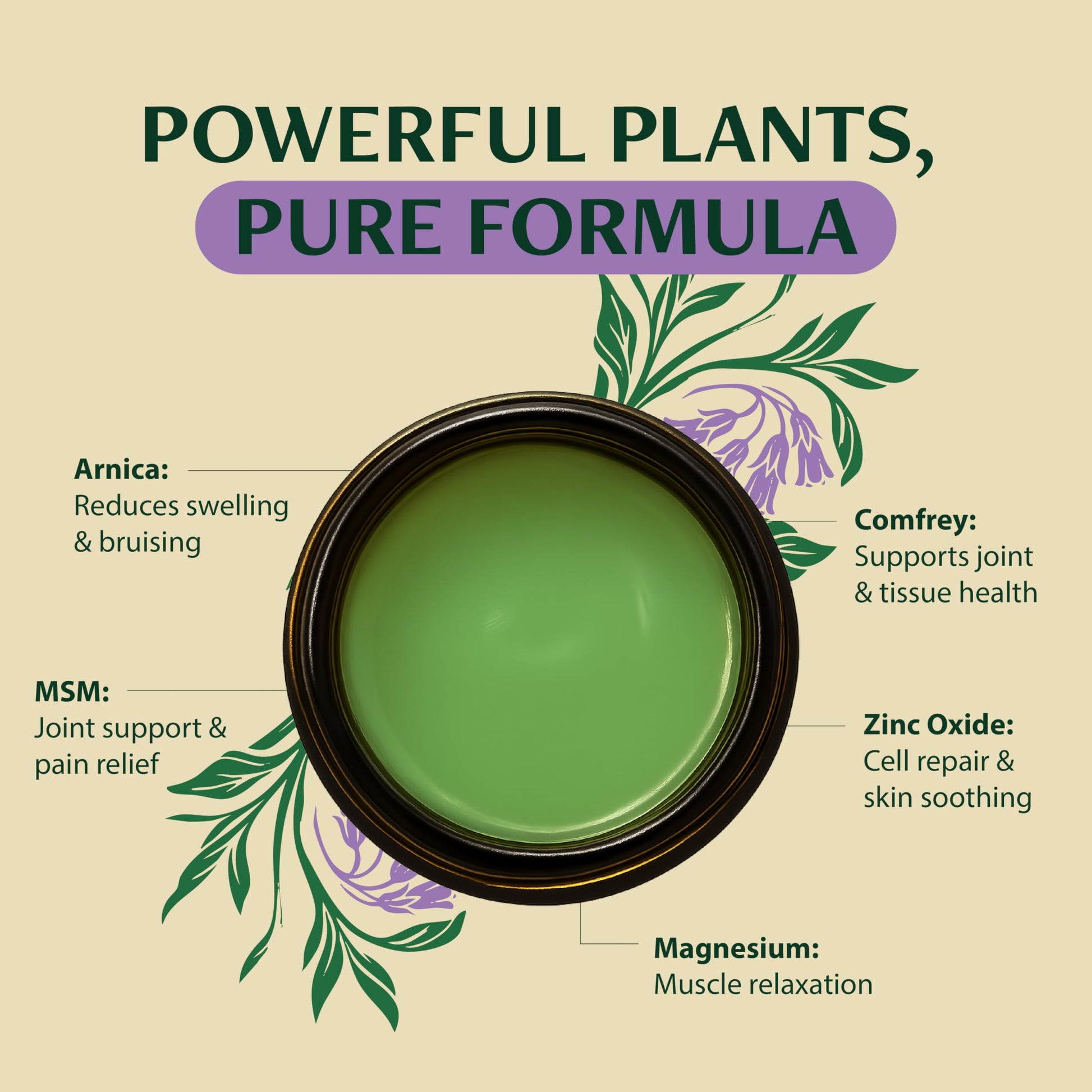 Wild Healing Comfrey Salve – Concentrated Herbal Balm with Arnica, Magnesium & MSM – Soothing Botanical Cream for Joints, Muscles & Dry Skin – 4.23 oz Wild HealingAu supplements