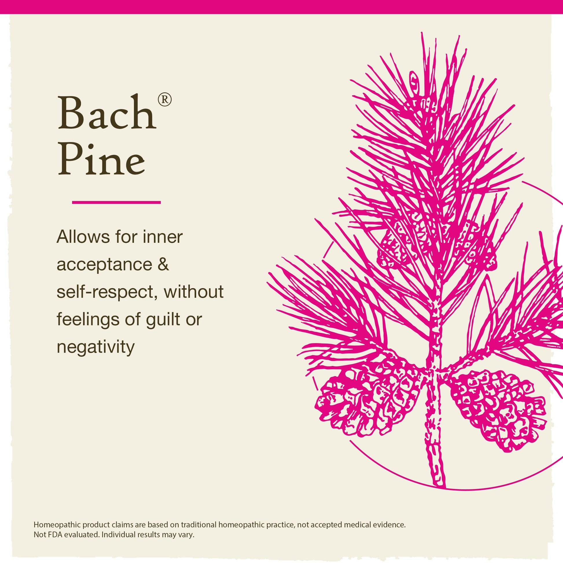 Bach Original Flower Remedies, Pine for Self Respect, Natural Homeopathic Flower Essence BachAu supplements