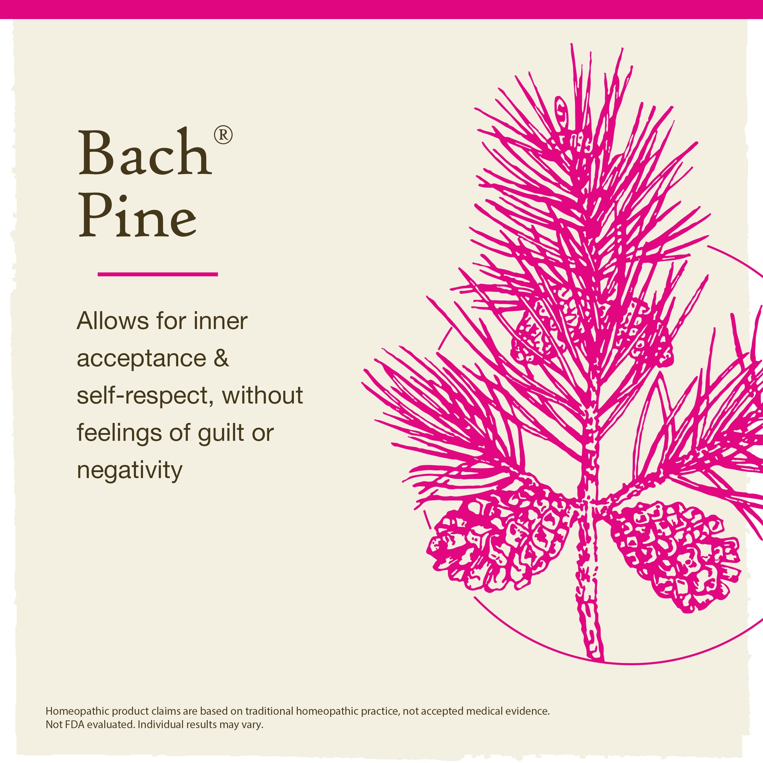 Bach Original Flower Remedies, Pine for Self Respect, Natural Homeopathic Flower Essence BachAu supplements