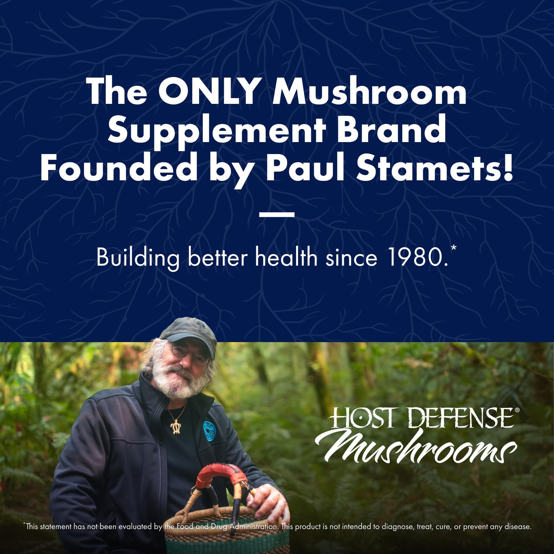 Host Defense Mushrooms Lion's Mane - Brain Health Support Supplement for Focus & Memory Function - Immune & Nervous System Support Supplement- 30 Capsules Host DefenseAu supplements