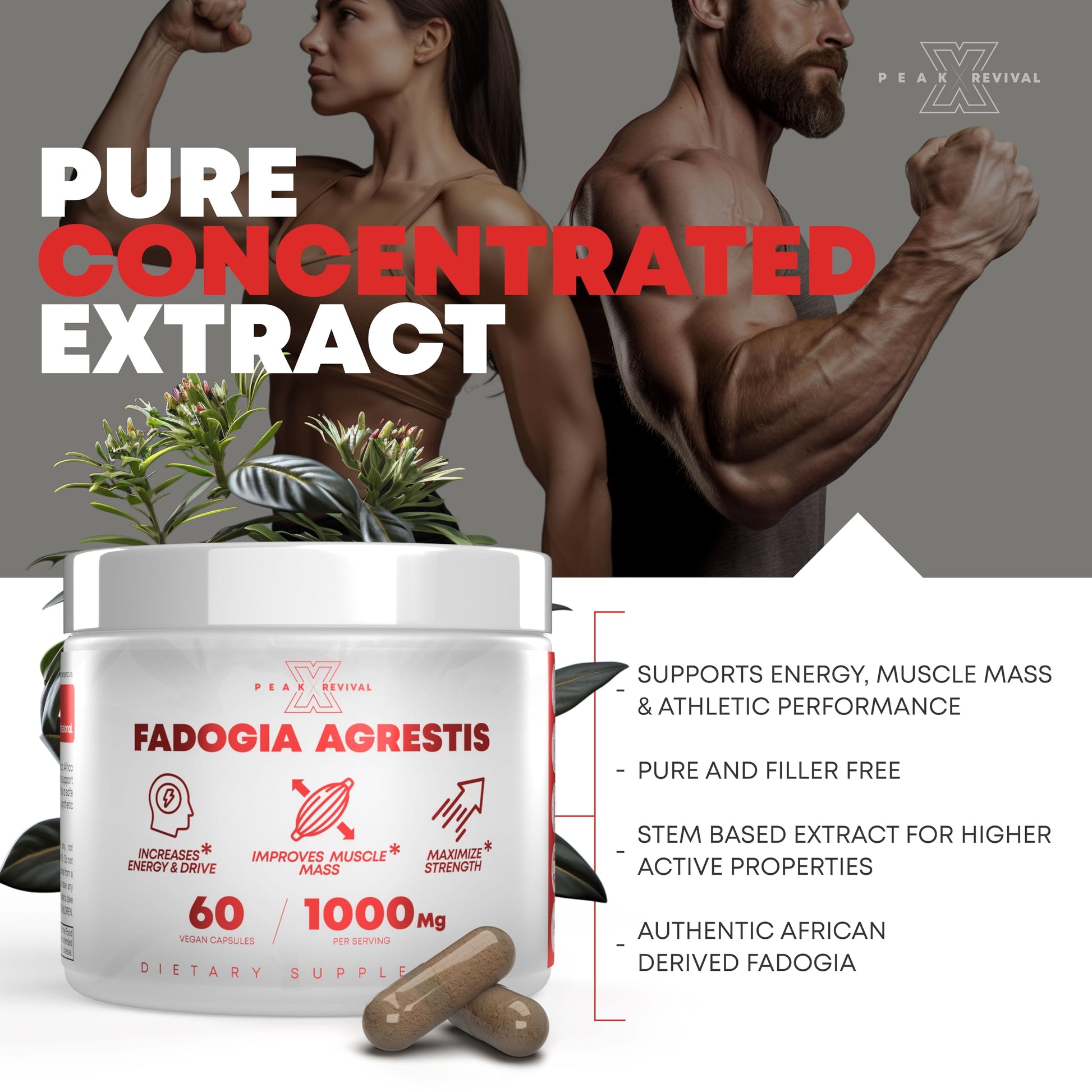 Peak Revival-X Fadogia Agrestis 1000mg Per Serving Supplement - Potent Extract to Increase Energy, Athletic Performance & Muscle Mass - Supplements, Made in The USA (60 Capsules) Peak Revival-XAu supplements