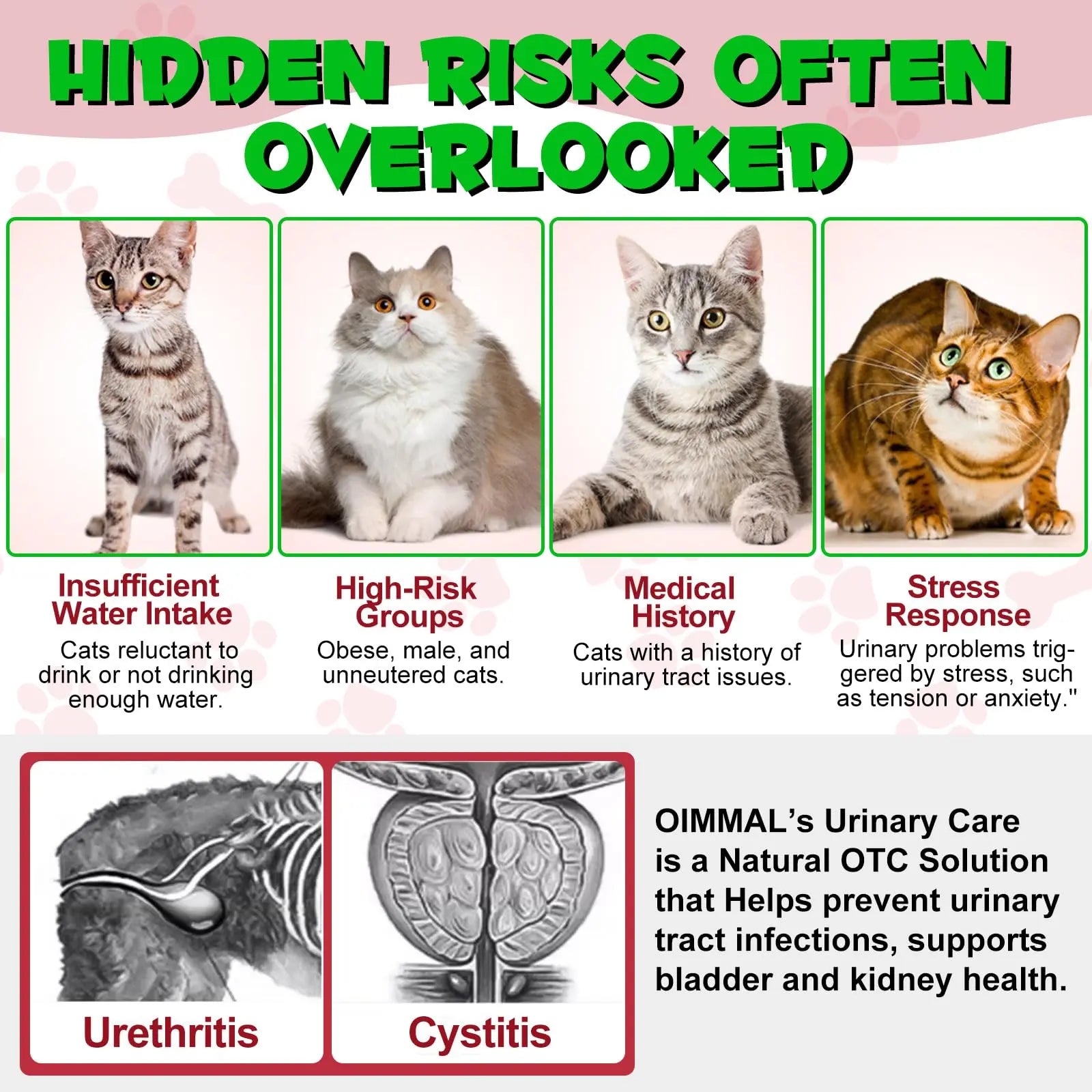 Cat Urinary Tract Infection Treatment, Cat UTI Treatment Drops Supports Bladder, Kidney Stone, Cranberry Kidney Bladder Support Supplement, Chicken Flavor, 60ml BTQAFVZTAu supplements
