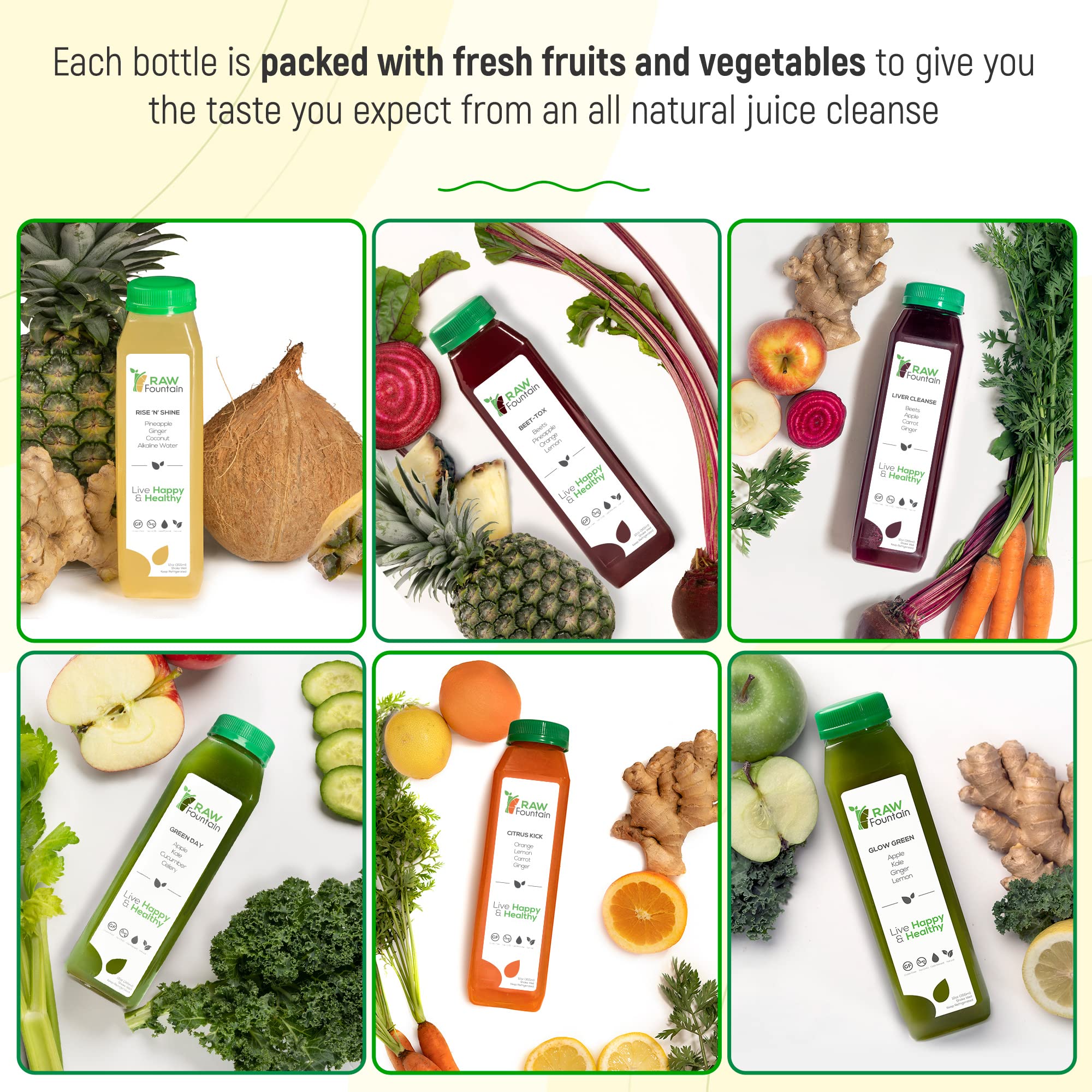 Raw Fountain 1 Day Juice Cleanse, All Natural Detox Cleanse, Cold Presssed Fruit Raw FountainUS supplements