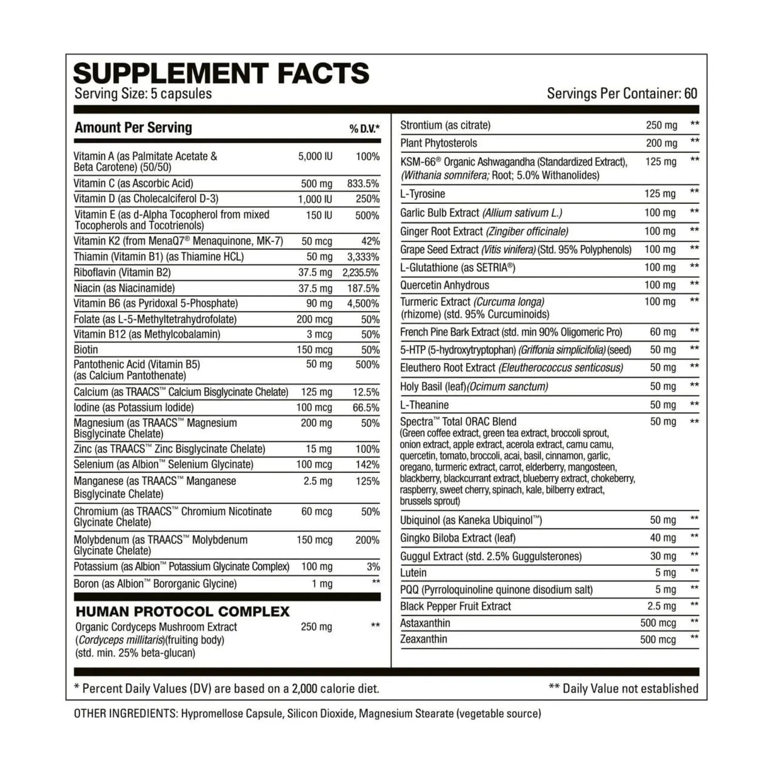 HD MUSCLE VitaHD Essential Multivitamin | Athlete-Specific Vitamins, Minerals, & Nutrients | Organic Mushroom Blend HD MUSCLEAu supplements
