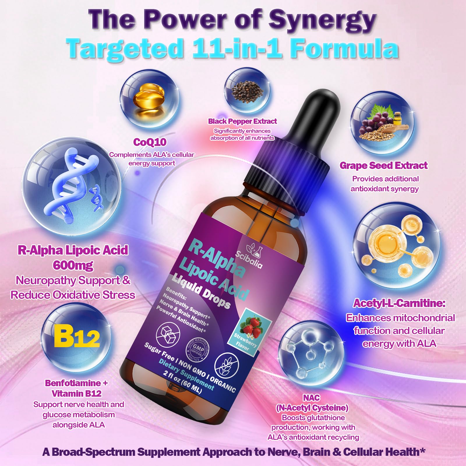 R Alpha Lipoic Acid 600mg Liquid Drops for Neuropathy, Advanced 11-in-1 Stabilized R-ALA Supplement w. Benfotiamine Acetyl L-Carnitine Vitamin C E for Antioxidant Nerve Brain Energy Health Non GMO ScibaliaAu supplements