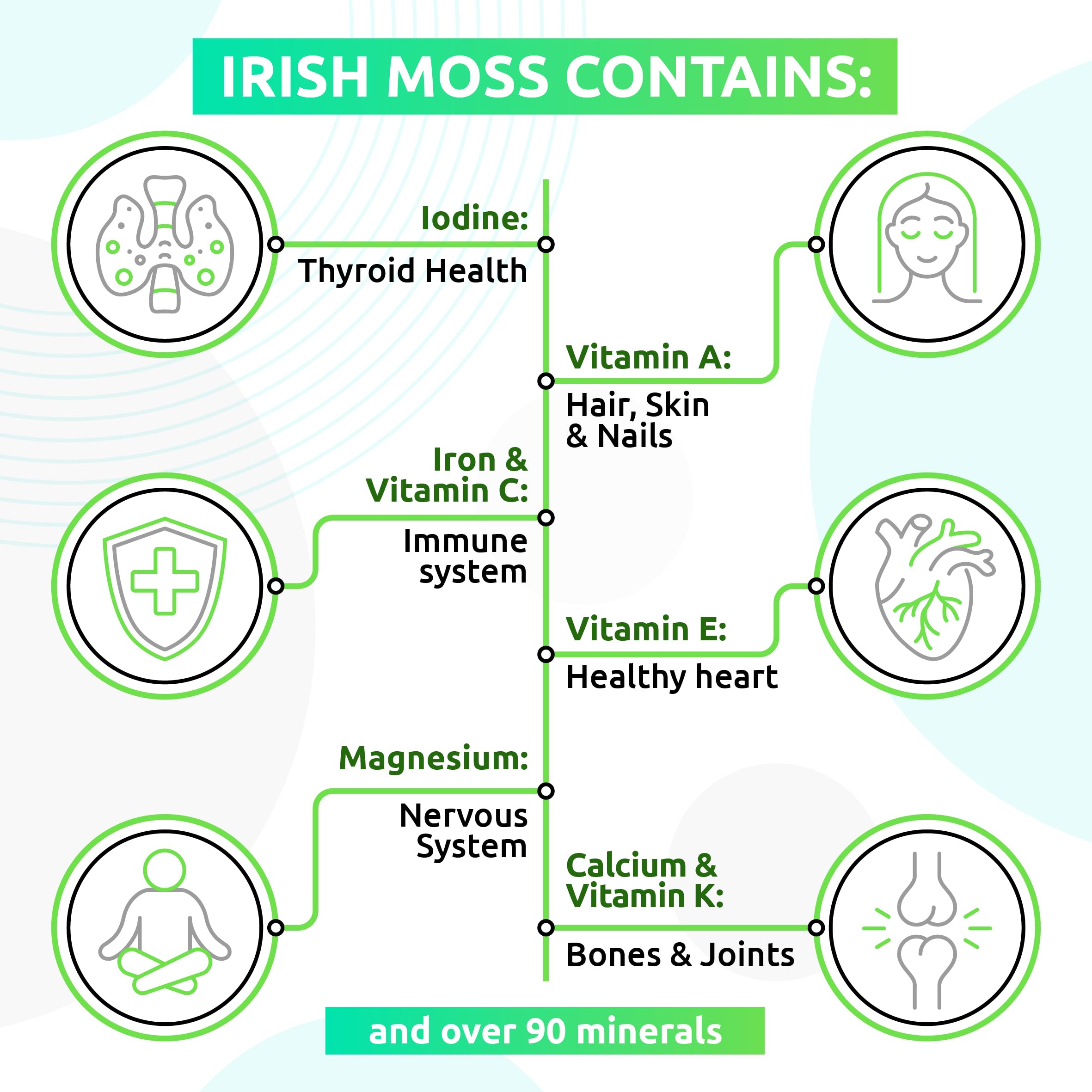 TrueSeaMoss Wildcrafted Irish Sea Moss Gel – Nutritious Raw Seamoss Rich in Minerals TrueSeaMossUS supplements