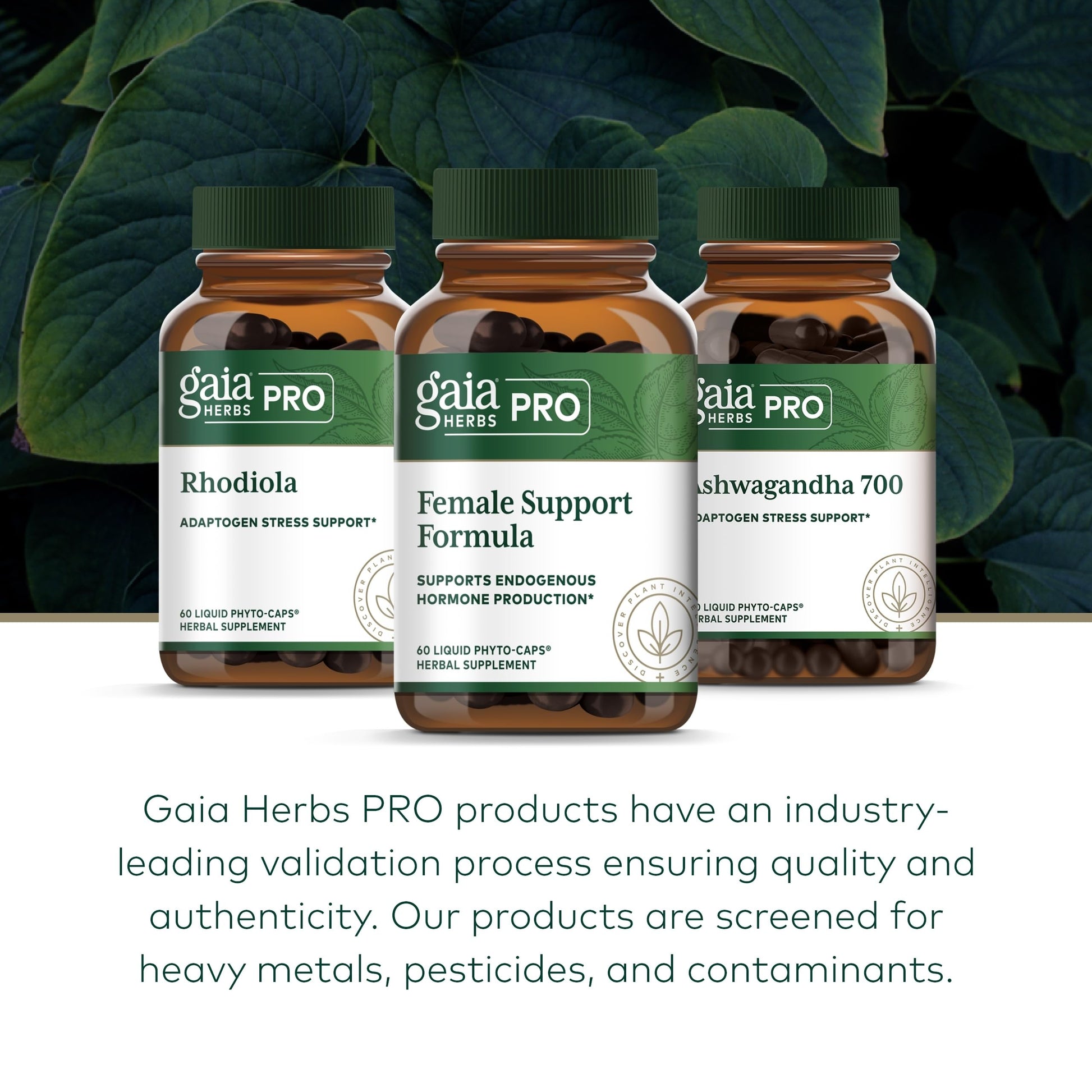 GAIA HERBS PRO Female Support Formula - Supports Healthy PMS & Menopause Fluctuations with Alfalfa Leaf, Black Cohosh Root Extract, Dandelion Root & More* - Vegan - 60 Liquid Phyto-Caps (60 Servings) Gaia Herbs PROAu supplements