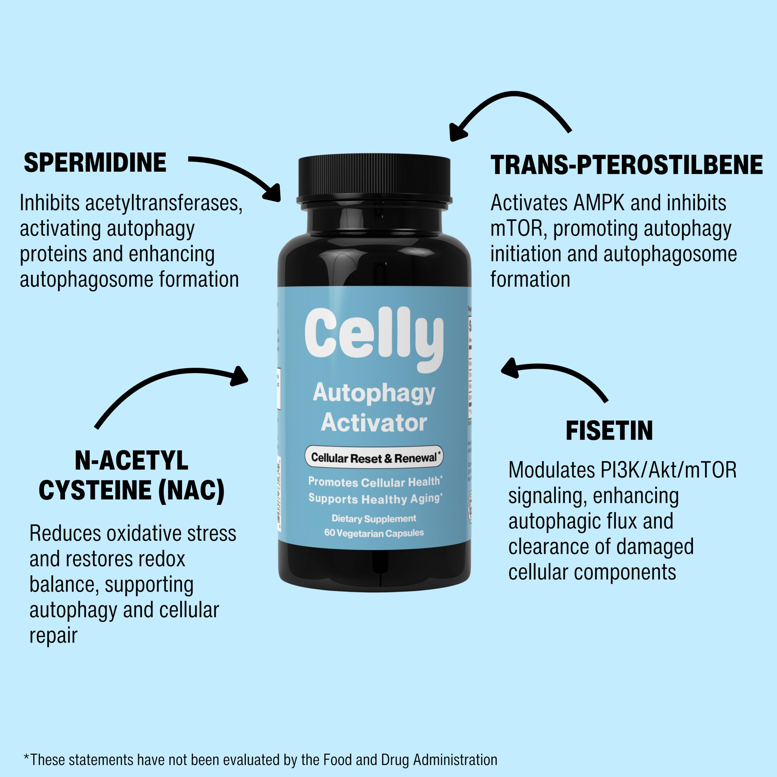 Celly Autophagy Activator | Longevity Supplement for Cellular Nutrition and Healthy Aging | Promotes Cell Renewal with Spermidine, Pterostilbene, Fisetin, and NAC | Made in USA & 3rd Party Tested CellyAu supplements