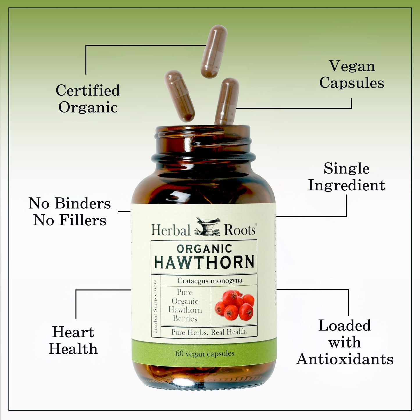 Herbal Roots Organic Hawthorn Berry Capsules | Extra Strength 1,200mg per Serving | 60 Vegan Capsules Herbal RootsUS supplements