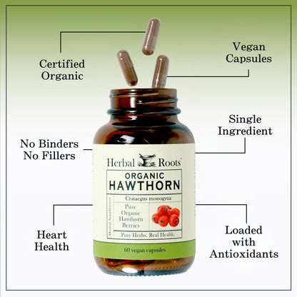Herbal Roots Organic Hawthorn Berry Capsules | Extra Strength 1,200mg per Serving | 60 Vegan Capsules Herbal RootsUS supplements