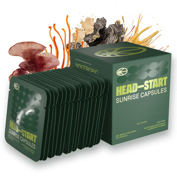 HEAD-START Sunrise Capsules | Nootropic Brain Supplement with Lion’s Mane, L-Theanine & Saffron | Adaptogen Blend for Focus, Energy, Clarity & Daily Performance HEAD-STARTAu supplements