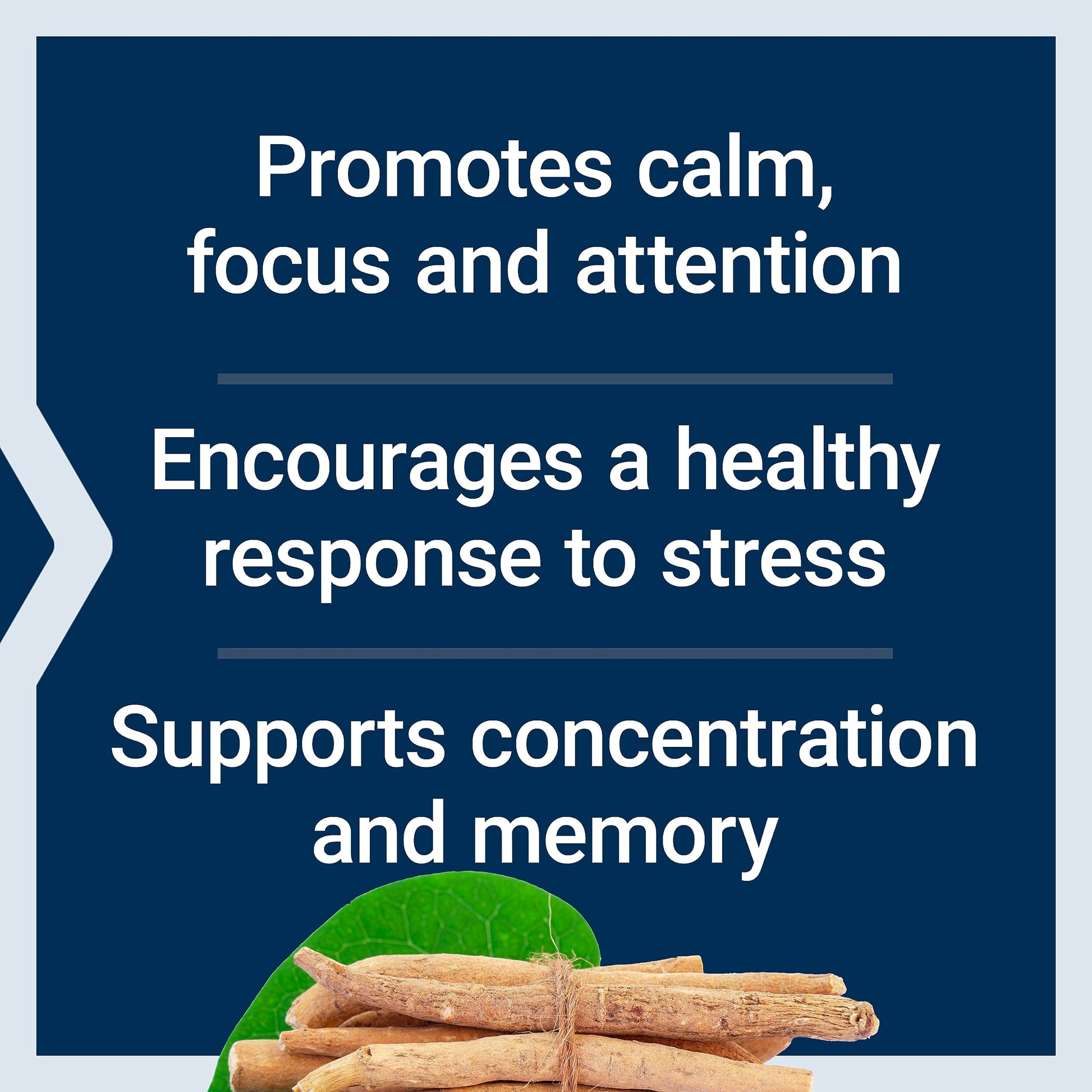 Life Extension Ashwagandha Plus Calm & Focus, ashwagandha Extract, Spearmint Extract, Focus, Attention, Relaxation, Advanced Formula, 60 Vegetarian Capsules Life ExtensionAu supplements