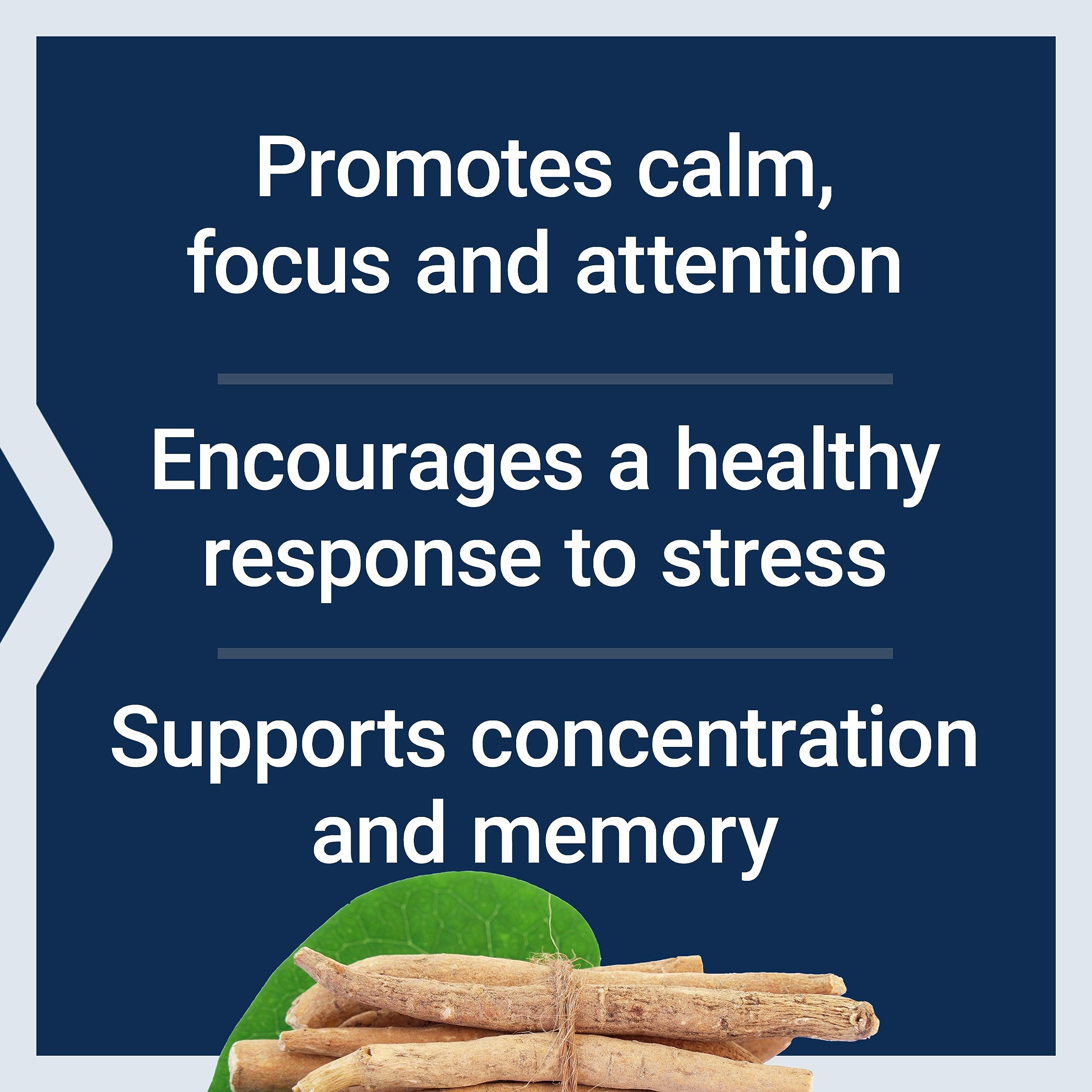 Life Extension Ashwagandha Plus Calm & Focus, ashwagandha Extract, Spearmint Extract, Focus, Attention, Relaxation, Advanced Formula, 60 Vegetarian Capsules Life ExtensionAu supplements