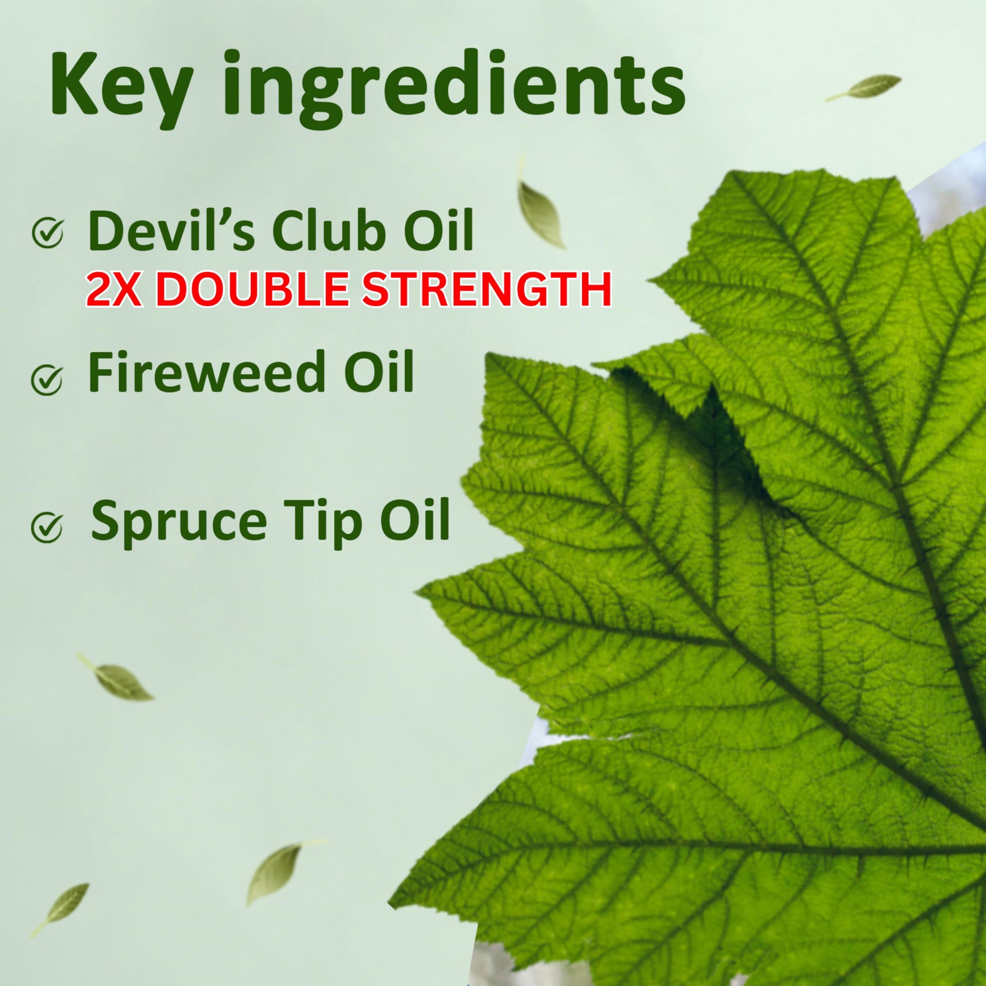 Snowy Summit Alaska Rainforest 2X Salve Stick - Salve for Dry Skin & Joint Relief - Natural Salve for Soothing Skin with Gentle Aroma - Body & Hand Salve - Muscle Rub Alaskan Devil’s Club Oil Snowy SummitAu supplements