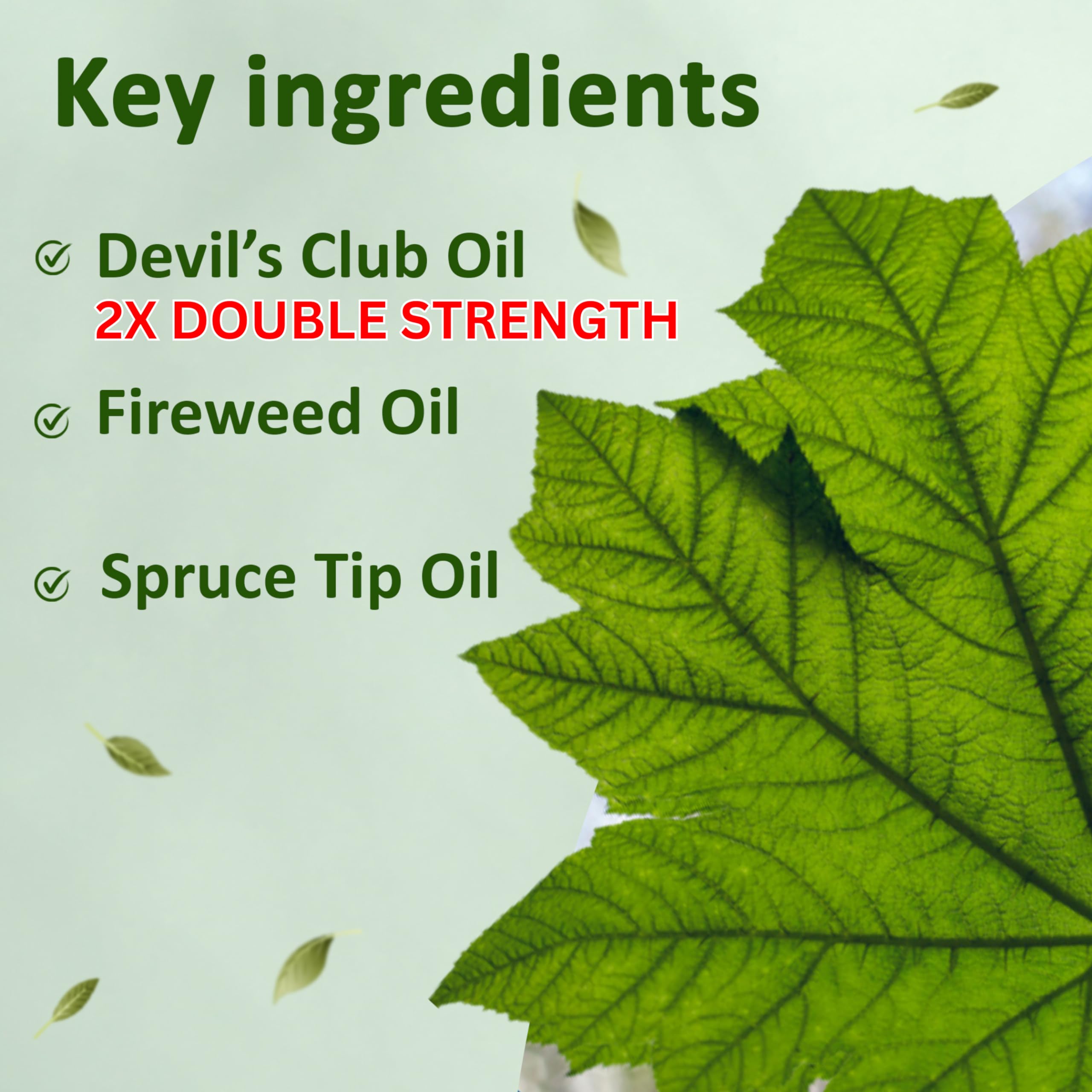 Snowy Summit Alaska Rainforest 2X Salve Stick - Salve for Dry Skin & Joint Relief - Natural Salve for Soothing Skin with Gentle Aroma - Body & Hand Salve - Muscle Rub Alaskan Devil’s Club Oil Snowy SummitAu supplements