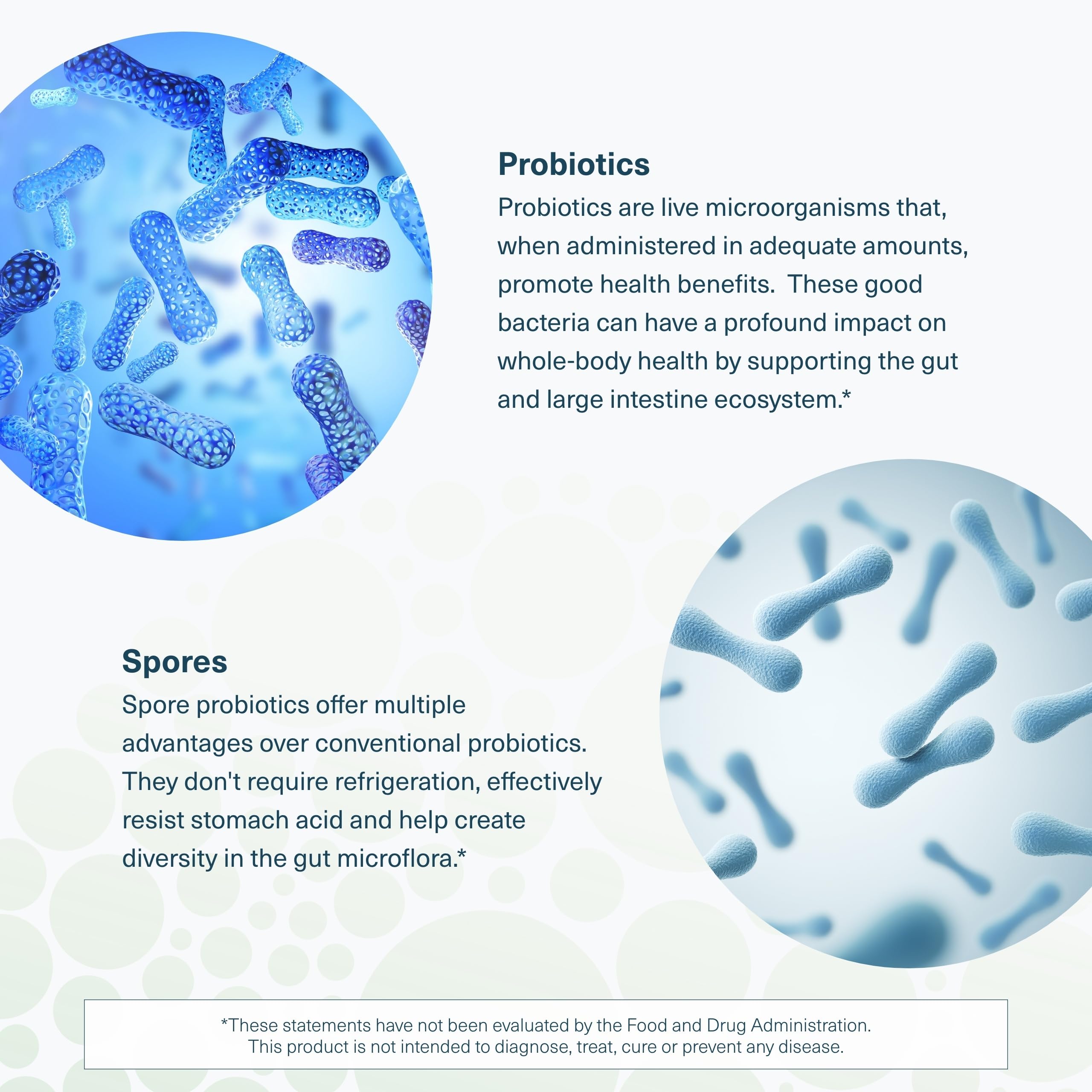 Youtheory Spore Probiotic - Helps Gut Health* - 6 Billion CFU with Prebiotics - Supports Regular Bowel Movement & Diarrhea Relief* - Shelf Stable - 60 Vegetarian Capsules (30-Day Supply) YoutheoryAu supplements