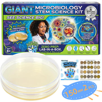 Giant Microbiology Bacteria Science Kit for Kids:2 XL 150mm Prepoured Nutrient Agar Plates, Petri Dishes with Agar & Colony Characteristics Poster for School Projects & Educational Gifts MosynexAu supplements