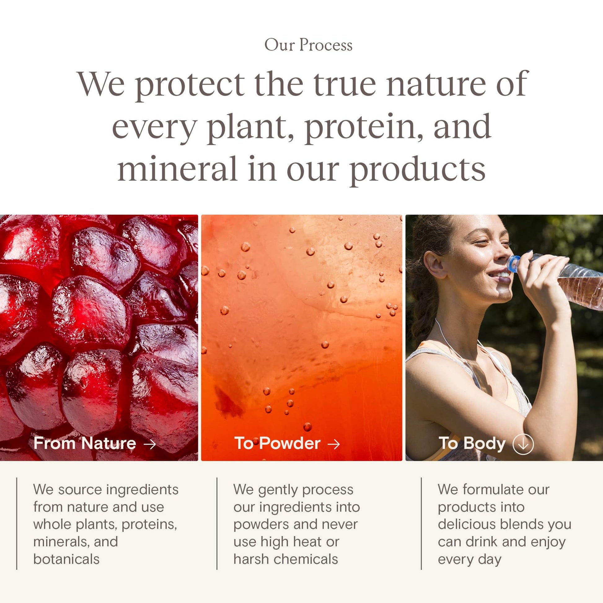 Yoli® Truth Antioxidant and Immune Support Supplement with Vitamin C, Botanicals, Superfruits, and Minerals - Pomegranate, 30 Packets YoliAu supplements