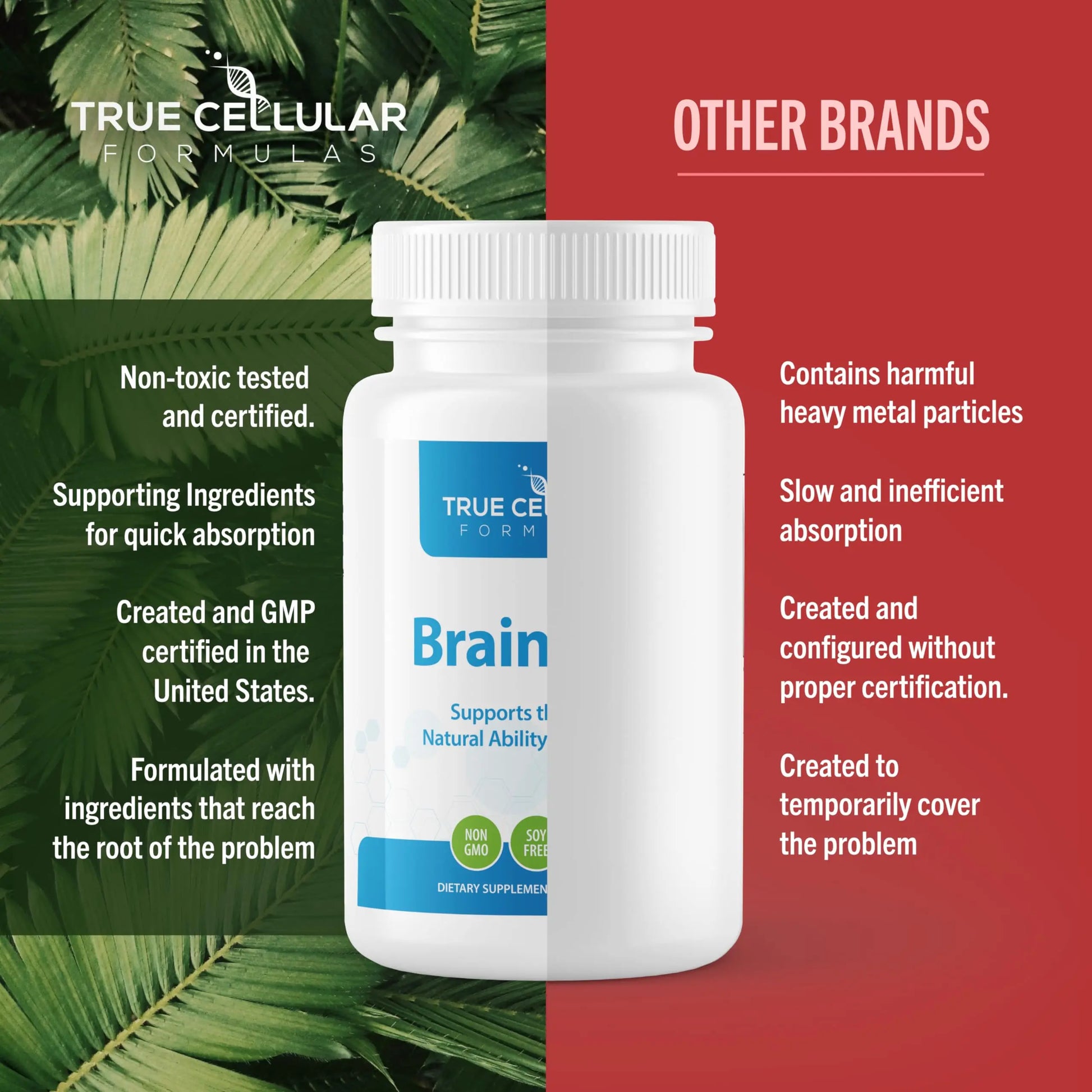 True Cellular Formulas BrainDTX - Supports Cognitive Function, Focus & Mental Clarity - Promotes Clear Thinking & Memory - with Alpha Lipoic Acid & Biotin - Antioxidant Support - 60 Capsules True Cellular Formulasnz supplements