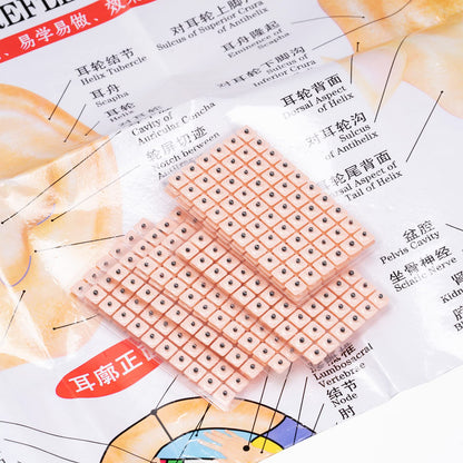 1200 Piece Acupressure Ear Beads Ear Counts Acupuncture Acupressure Tools Disposable HonosonUS supplements