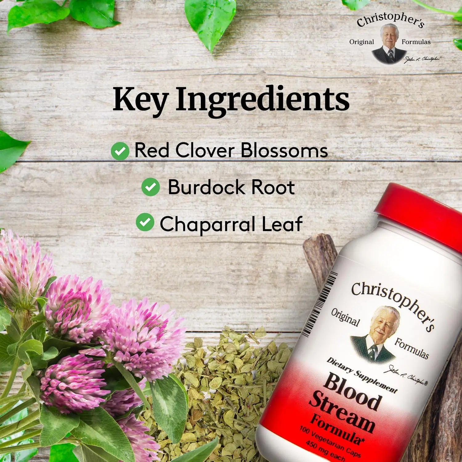 DR. CHRISTOPHER'S Formulas Blood Stream Formula, 100 Cap Christopher's Original Formulasnz supplements