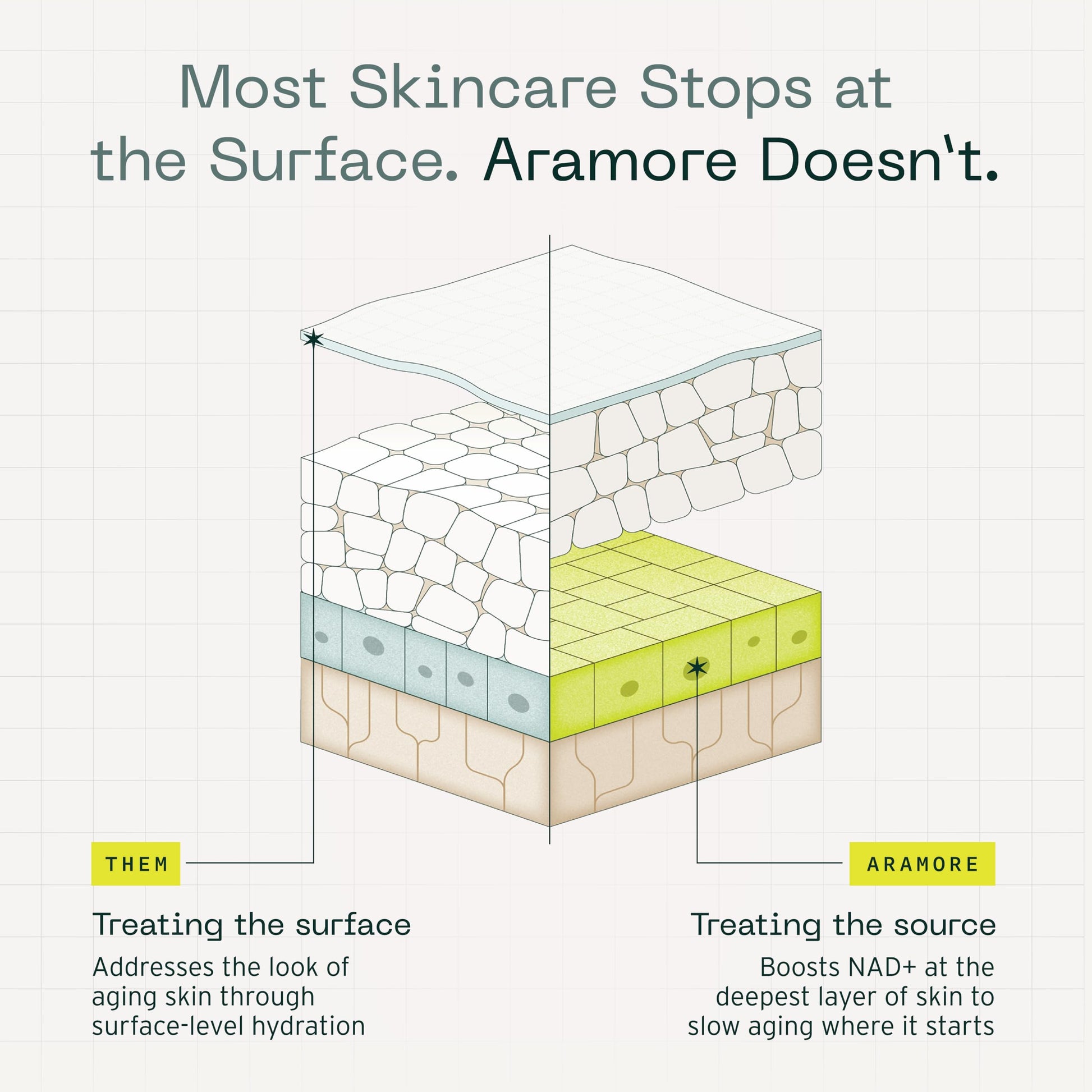 Aramore NAD+ Cell Energizing Skin Care Treatment with Proprietary NAD+ Precursor Complex, Clinically Proven to Target 12 Signs of Aging - 15ml AramoreAu supplements
