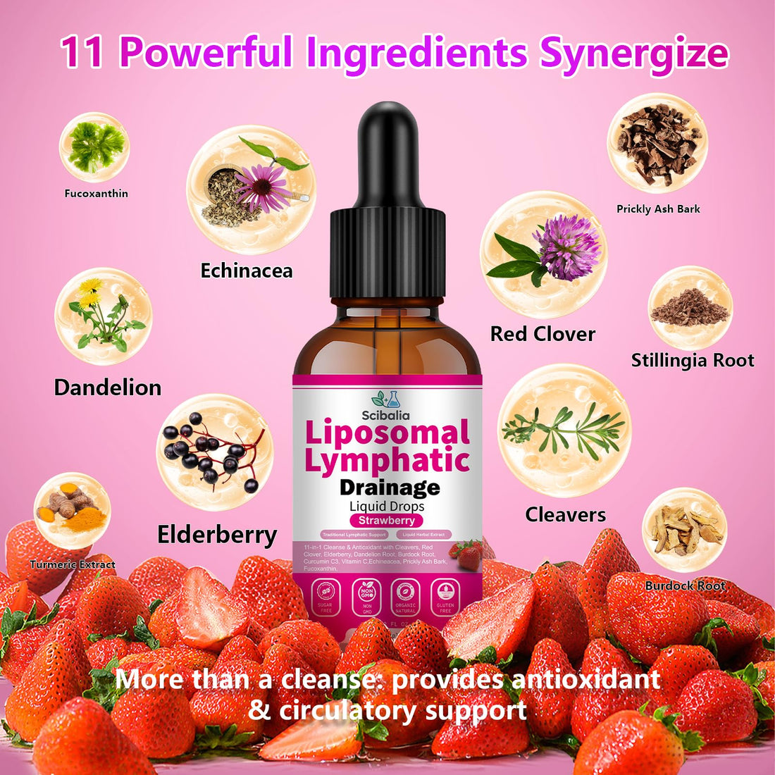 Scibalia Liposomal Lymphatic Drainage Drops, 11-in-1 Organic Lymphatic Support with Red Clover Echinacea Elderberry Burdock Root for Lymph Cleanse Immune Support & Daily Detox Vegan Non-GMO ScibaliaAu supplements