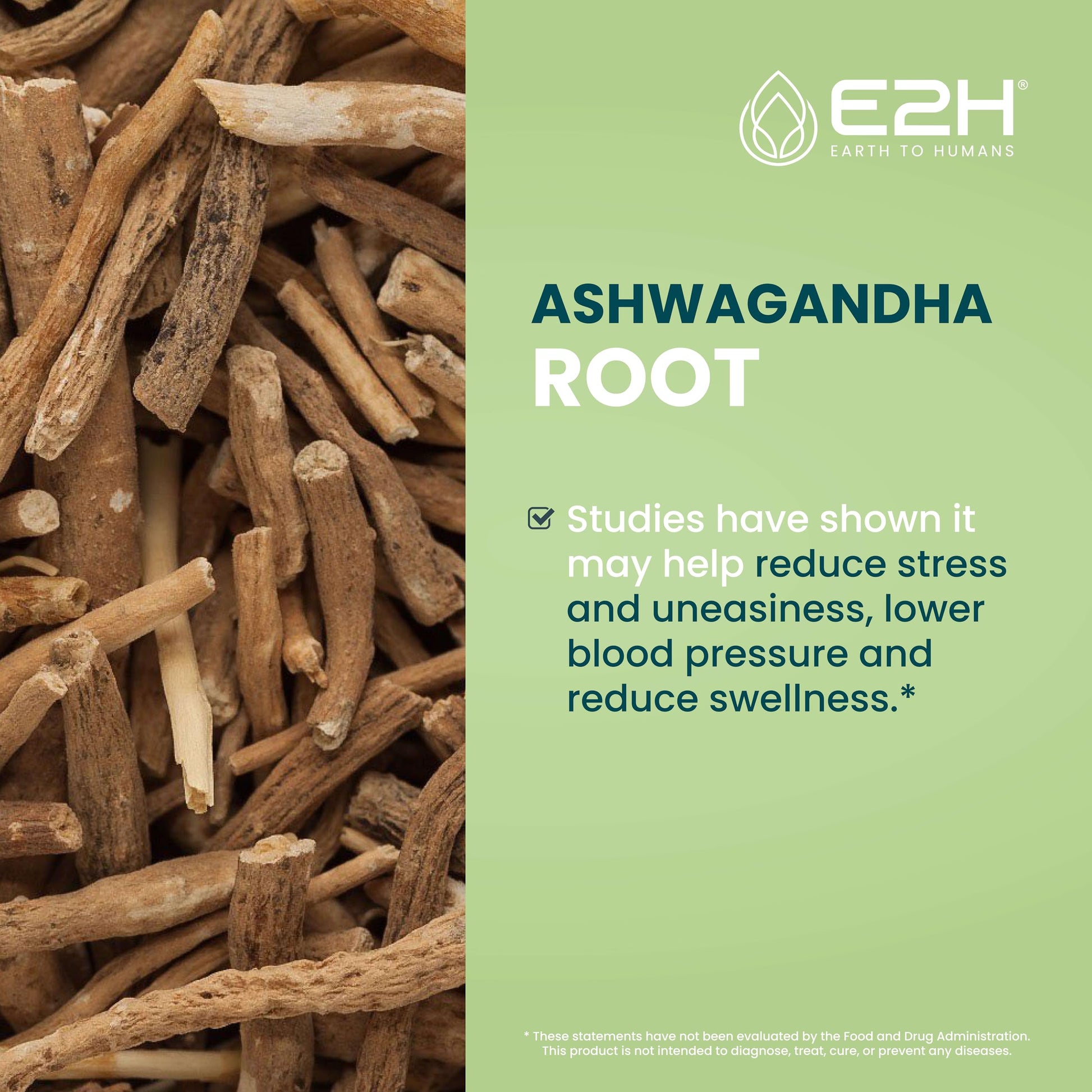 E2H Ashwagandha Liquid Drops - All-Natural Ashwagandha Supplement for Stress Relief and Mood Enhancer- Organic Ashwagandha Root Extract Effective Cortisol Manager | Non-GMO, Vegan | 2 Fl Oz E2H EARTH TO HUMANSAu supplements
