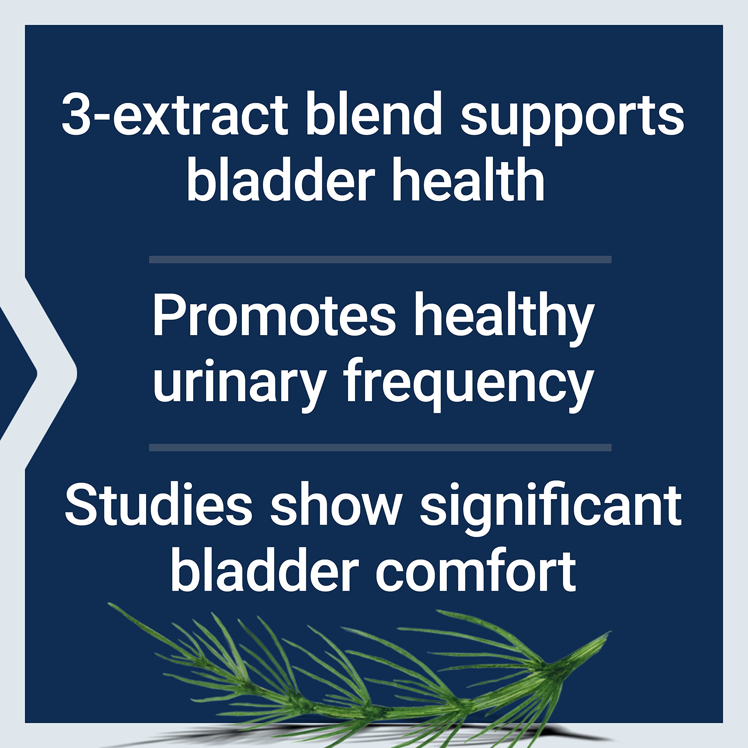Life Extension Women's Bladder Support – for Bladder Health and Normal Urinary Frequency – Horsetail, Lindera and Three-Leaf Caper Extracts – Non-GMO – Gluten Free — 60 Vegetarian Capsules Life ExtensionAu supplements