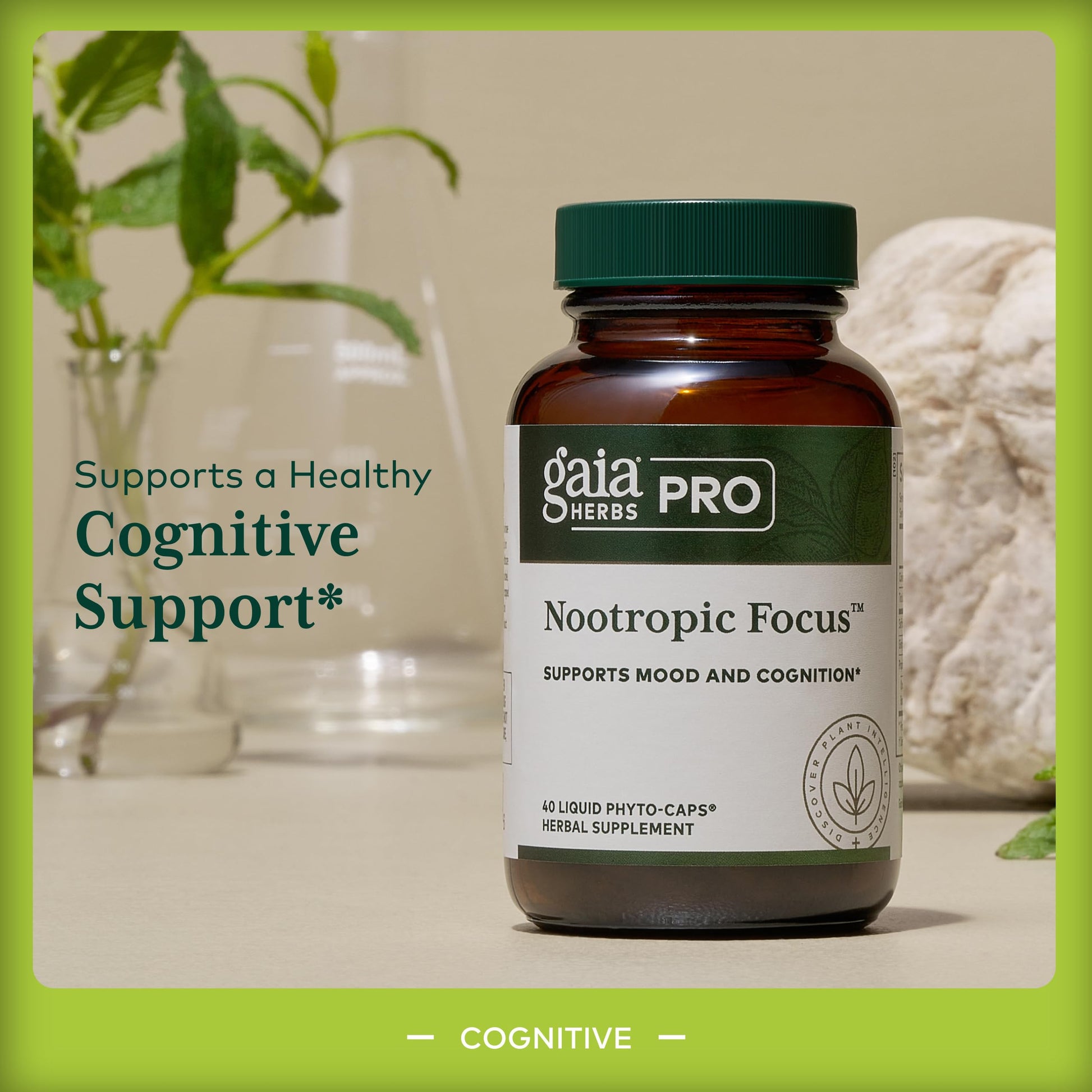 GAIA HERBS PRO Nootropic Focus - Brain Health Support Supplement* - Nootropic Supplement with Saffron, Ginkgo Leaf Extract & Lemon Balm - Vegan, Gluten-Free - 40 Liquid Phyto-Caps (20 Servings) Gaia Herbs PROAu supplements