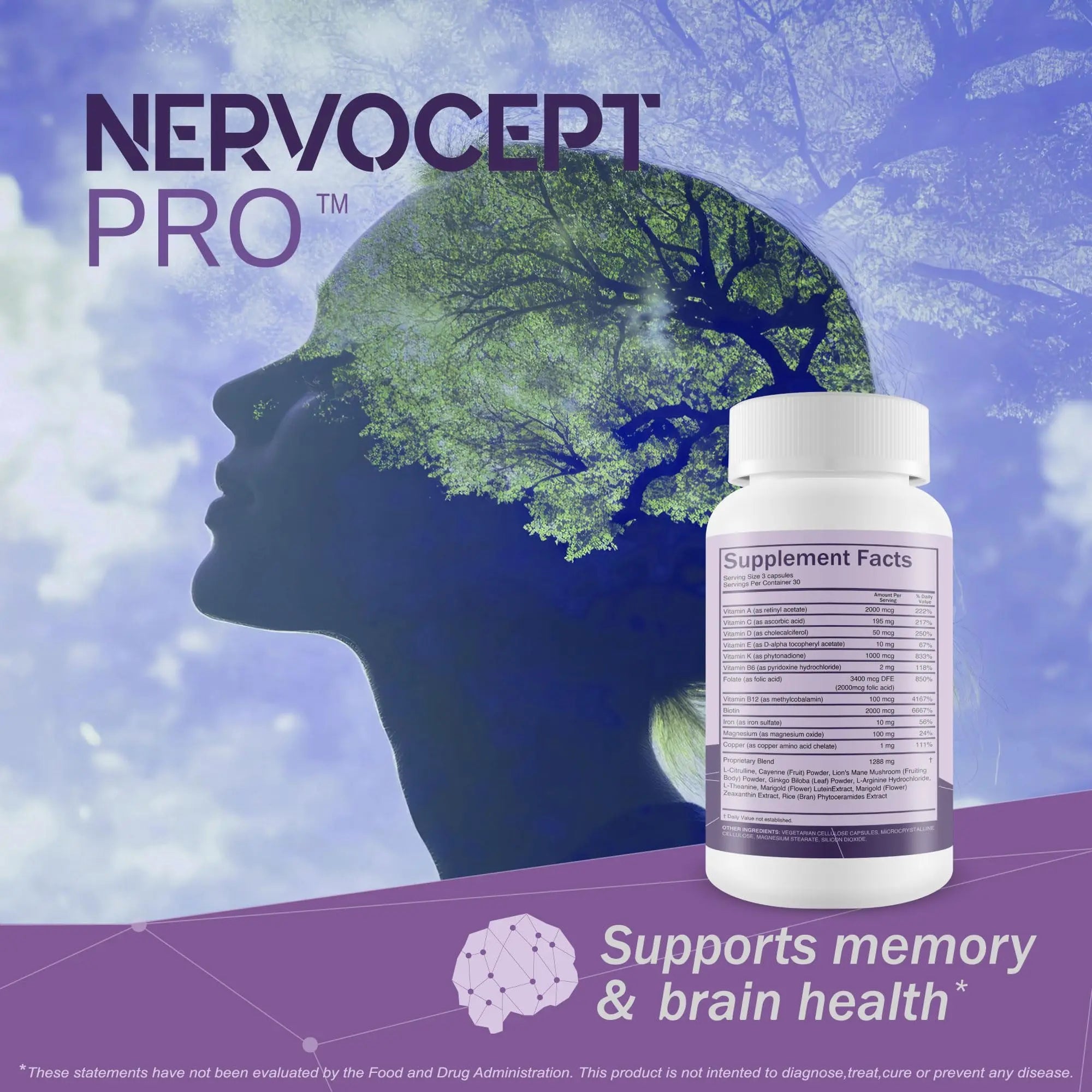 Nervocept Pro - Our Best Nerve Support Capsules - Lions Mane, Magnesium, Vitamin B For Nerve Repair - Vitamin D for Nerves - Lions Mane Memory & Nerve Support - Vitamin B12 Nerve Support True You Healthnz supplements