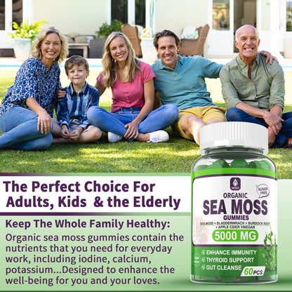 Sea Moss Supplement 5000mg, Sugar Free Sea Moss Gummies, Irish Sea Moss EnvyDealUS supplements