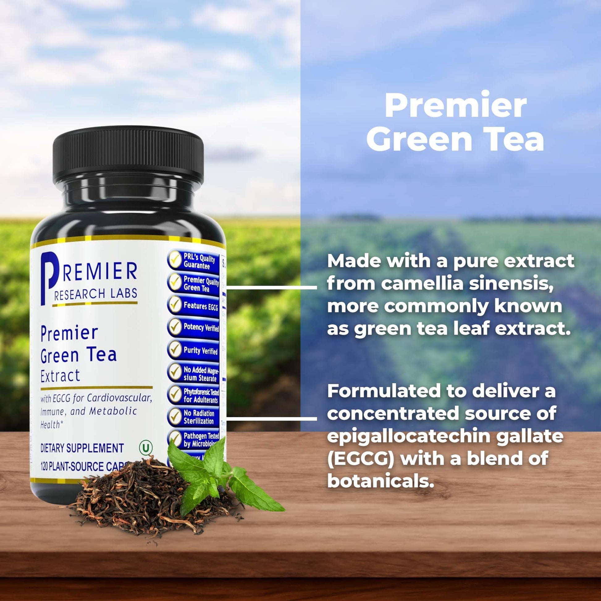 Premier Research Labs Premier Green Tea Extract - Green Tea Capsules, Green Tea Extract Pills, Green Tea Supplement with ECGC, Camellia Sinensis, Pure, Vegan Friendly - 120 Vegetarian Capsules Premier Research LabsAu supplements