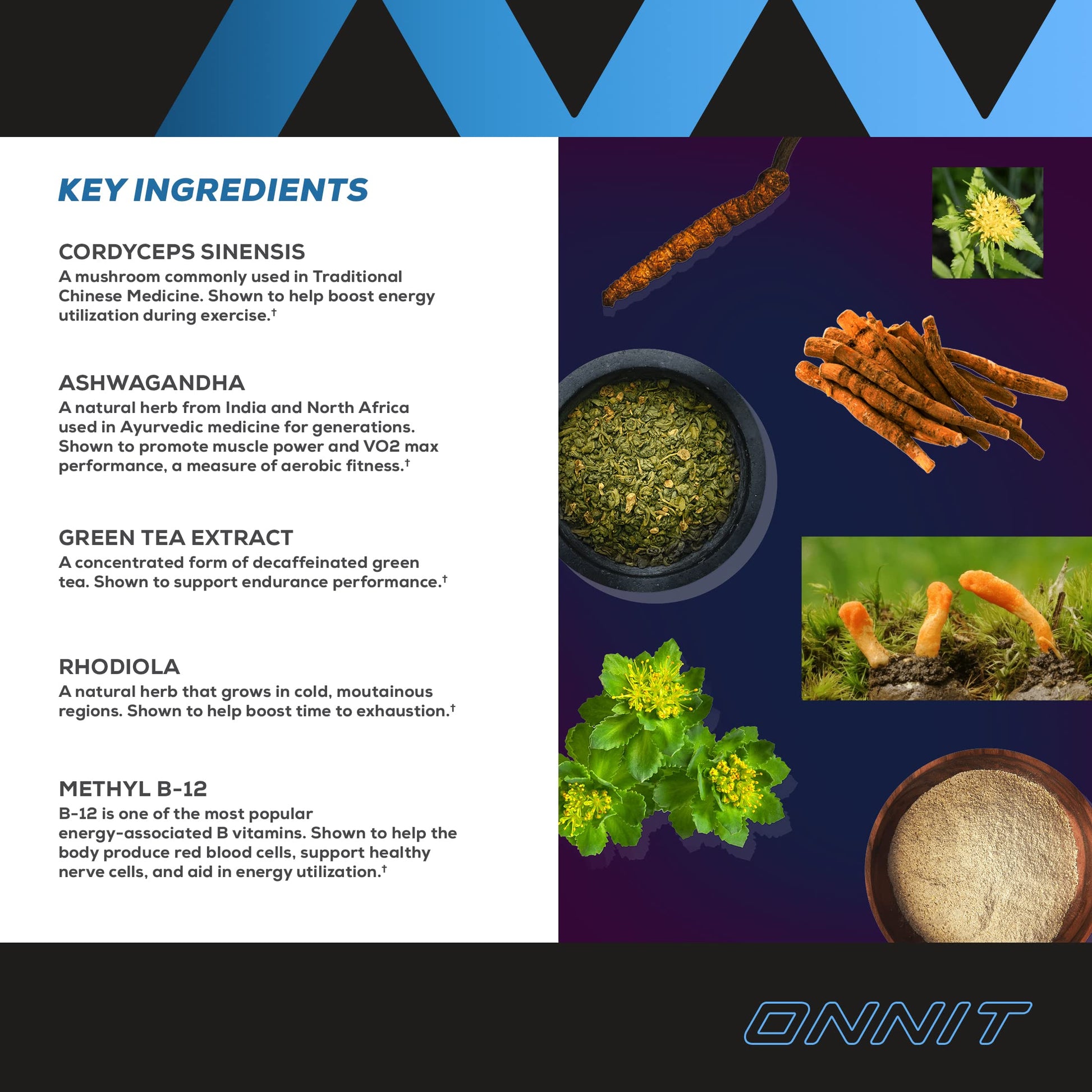 Onnit Shroom TECH Sport (84ct) | All Natural Pre-Workout Supplement with Ashwagandha ONNITUS supplements