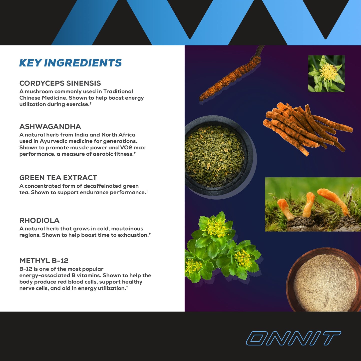 Onnit Shroom Tech SPORT: Clinically Studied Preworkout Supplement with Cordyceps ONNITUS supplements