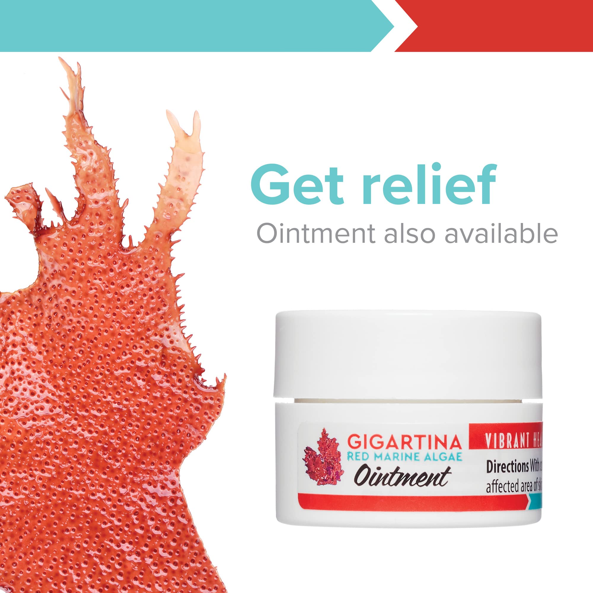 Vibrant Health, Gigartina Red Marine Algae, Plant-Based Immune Support, 60 Capsules Vibrant HealthAu supplements