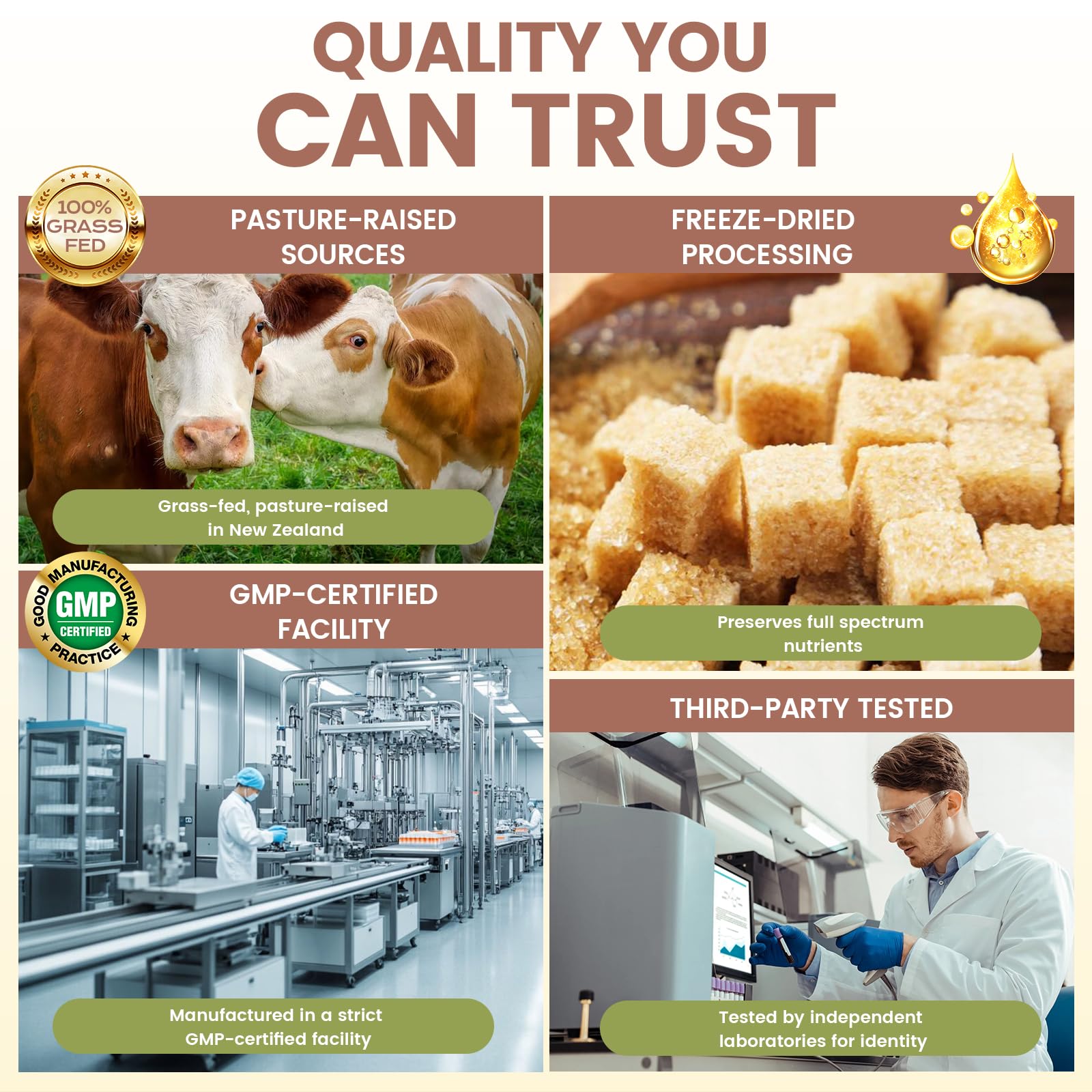 Grass Fed Beef Organ Supplement for Men - Beef Liver Capsules,Pasture Raised Beef Organs with Heart, Liver, Kidney, Spleen, Testicle & Prostate, Zinc, Selenium, Vitamin D3, Ginseng, Cordyceps HOLINFREAu supplements