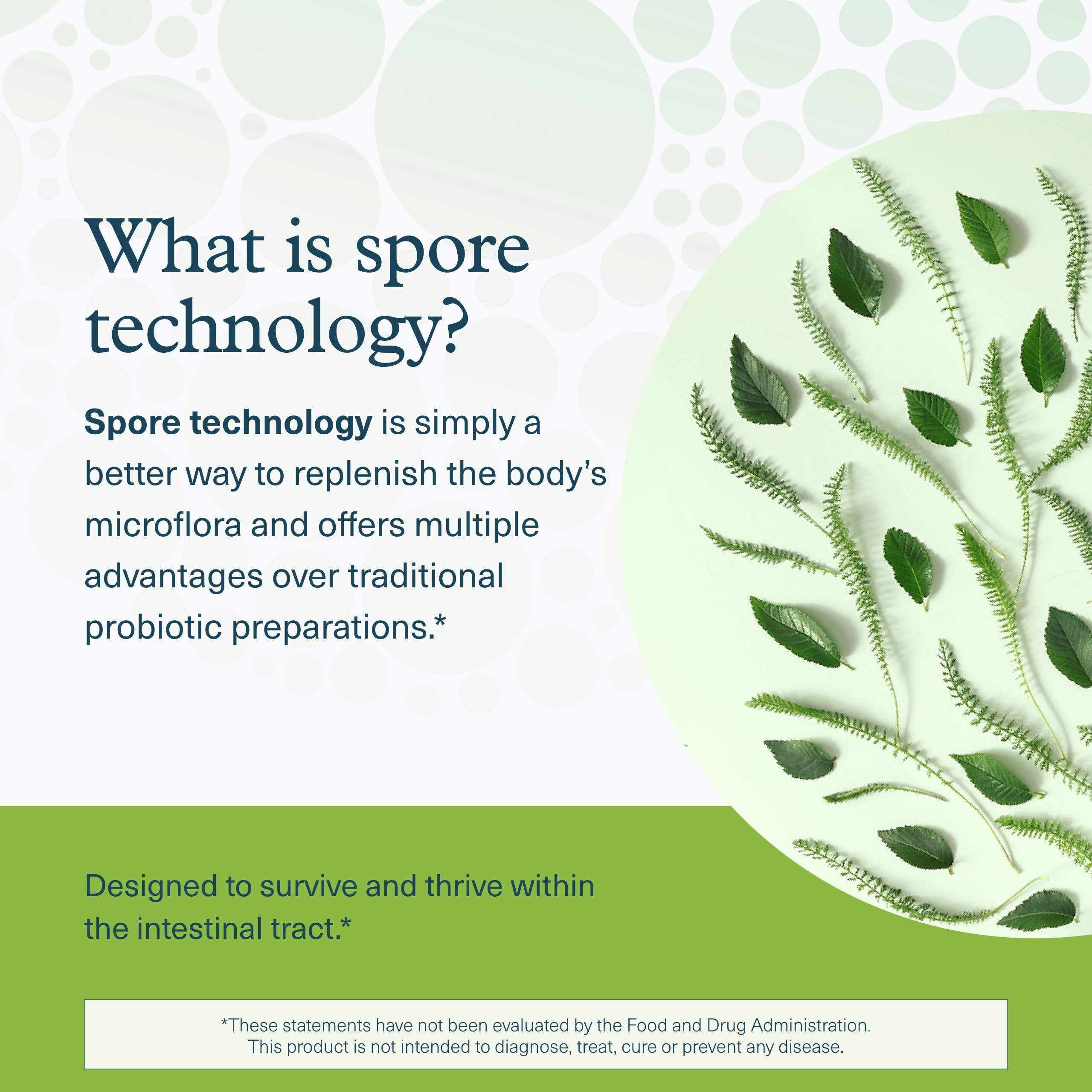 Youtheory Spore Probiotic - Helps Gut Health* - 6 Billion CFU with Prebiotics - Supports Regular Bowel Movement & Diarrhea Relief* - Shelf Stable - 60 Vegetarian Capsules (30-Day Supply) YoutheoryAu supplements
