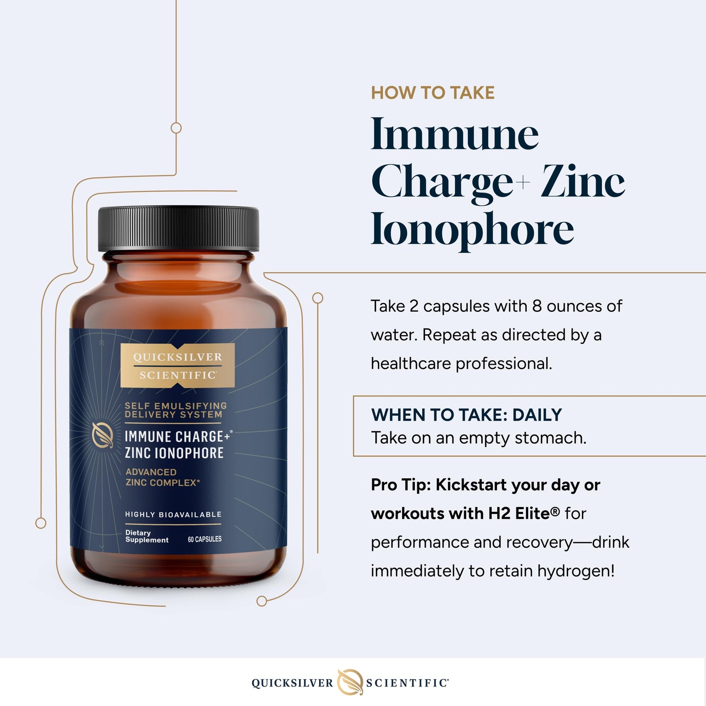 Quicksilver Scientific Immune Charge+ Zinc Ionophore - Zinc Supplement Complexed with Quercetin, Luteolin, Hesperetin Immune + GI Support (60 Capsules) Quicksilver ScientificUS supplements