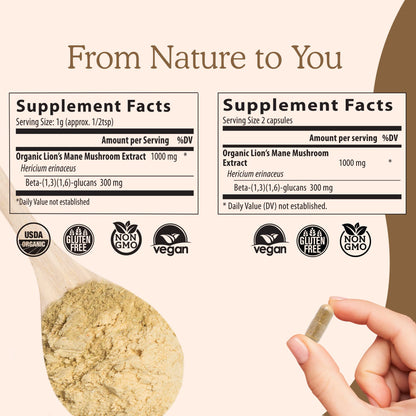Real Mushrooms Lion’s Mane Capsules - Organic Lions Mane Mushroom Extract Real MushroomsUS supplements