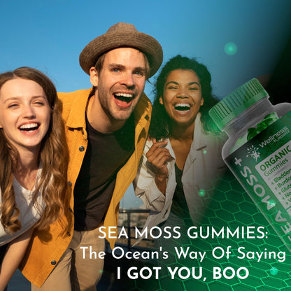 WELLNESS LABSRX Sea Moss Gummies, 3200mg Organic Seamoss, Irish Sea Moss WELLNESS LABSRXUS supplements
