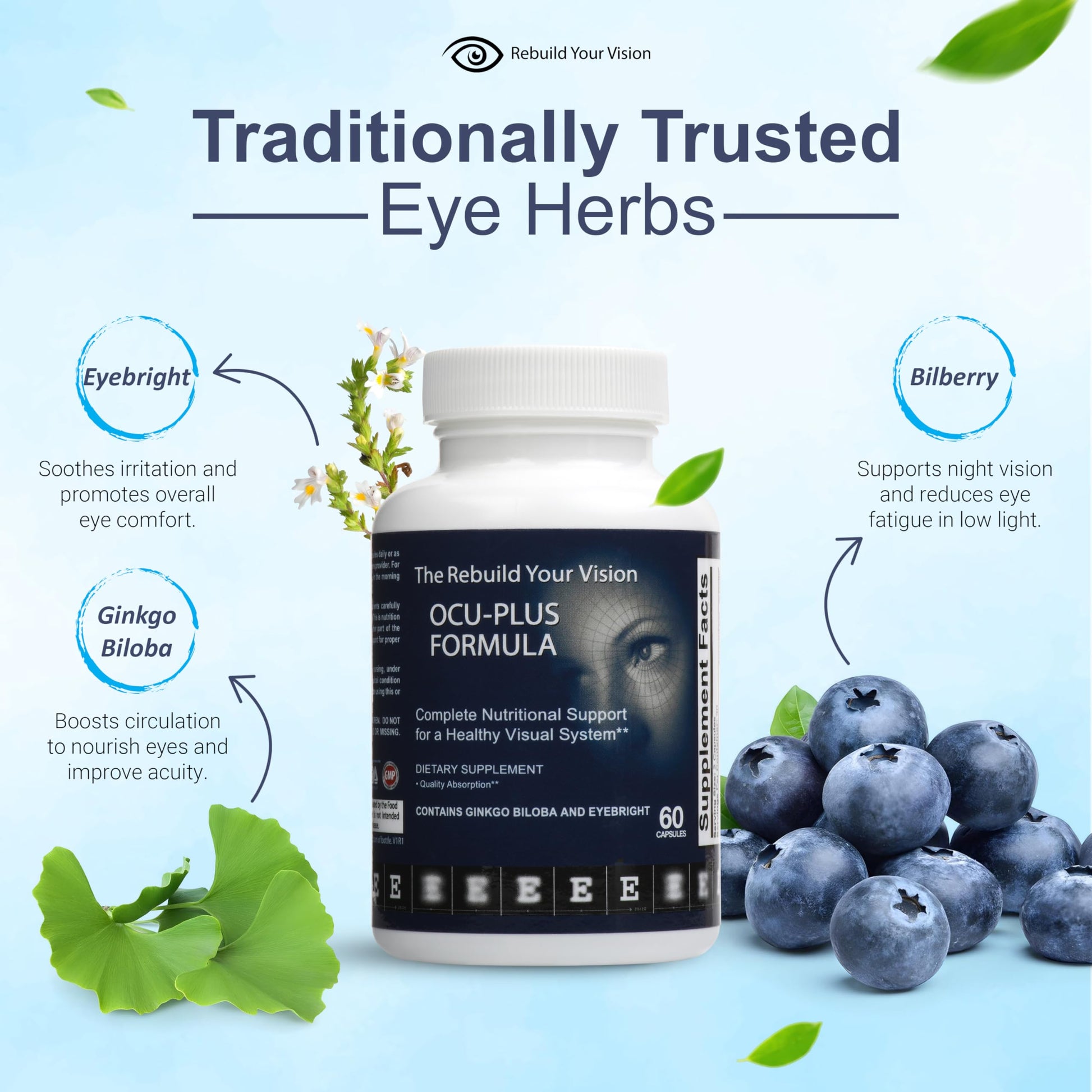 Rebuild Your Vision Ocu-Plus Formula – Eye Health Supplement with Lutein & Zeaxanthin – Supports Visual Clarity, Night Vision & Macular Health – with Bilberry, Ginkgo Biloba & NAC – 60 Capsules Rebuild Your VisionAu supplements