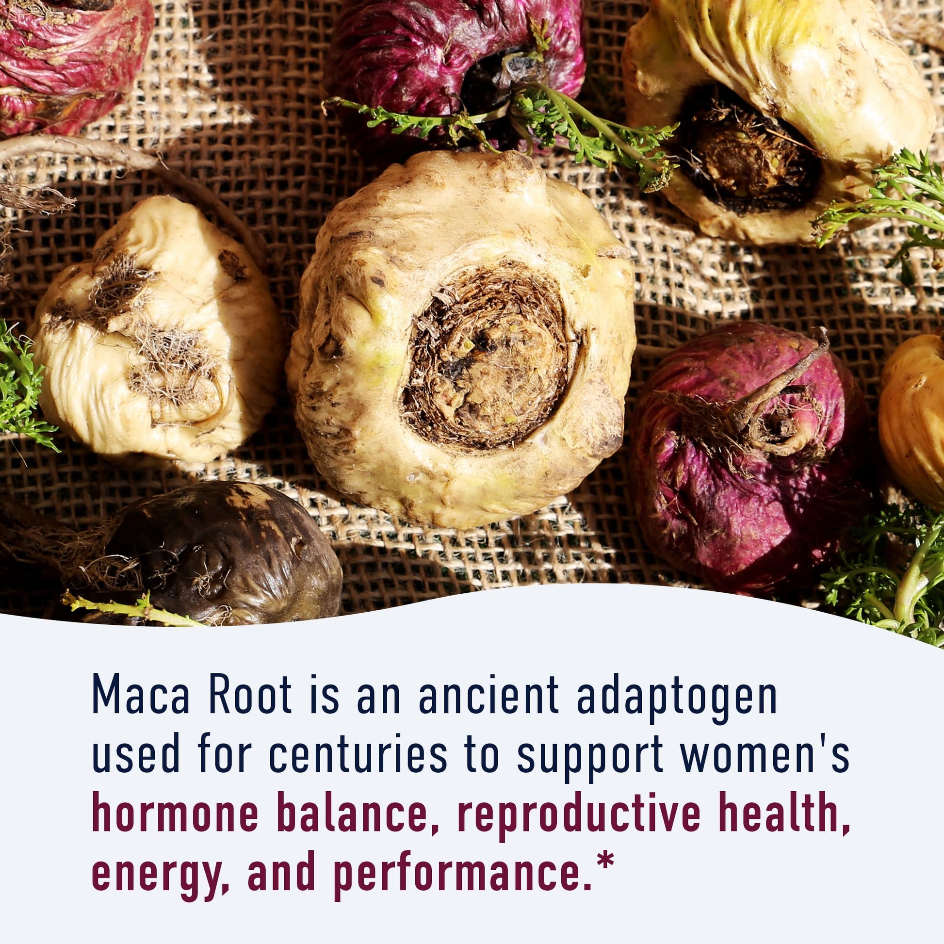 Organic Maca Root Capsules for Women | 2250MG Extra Strength | Red, Black & Yellow SMNutritionAu supplements