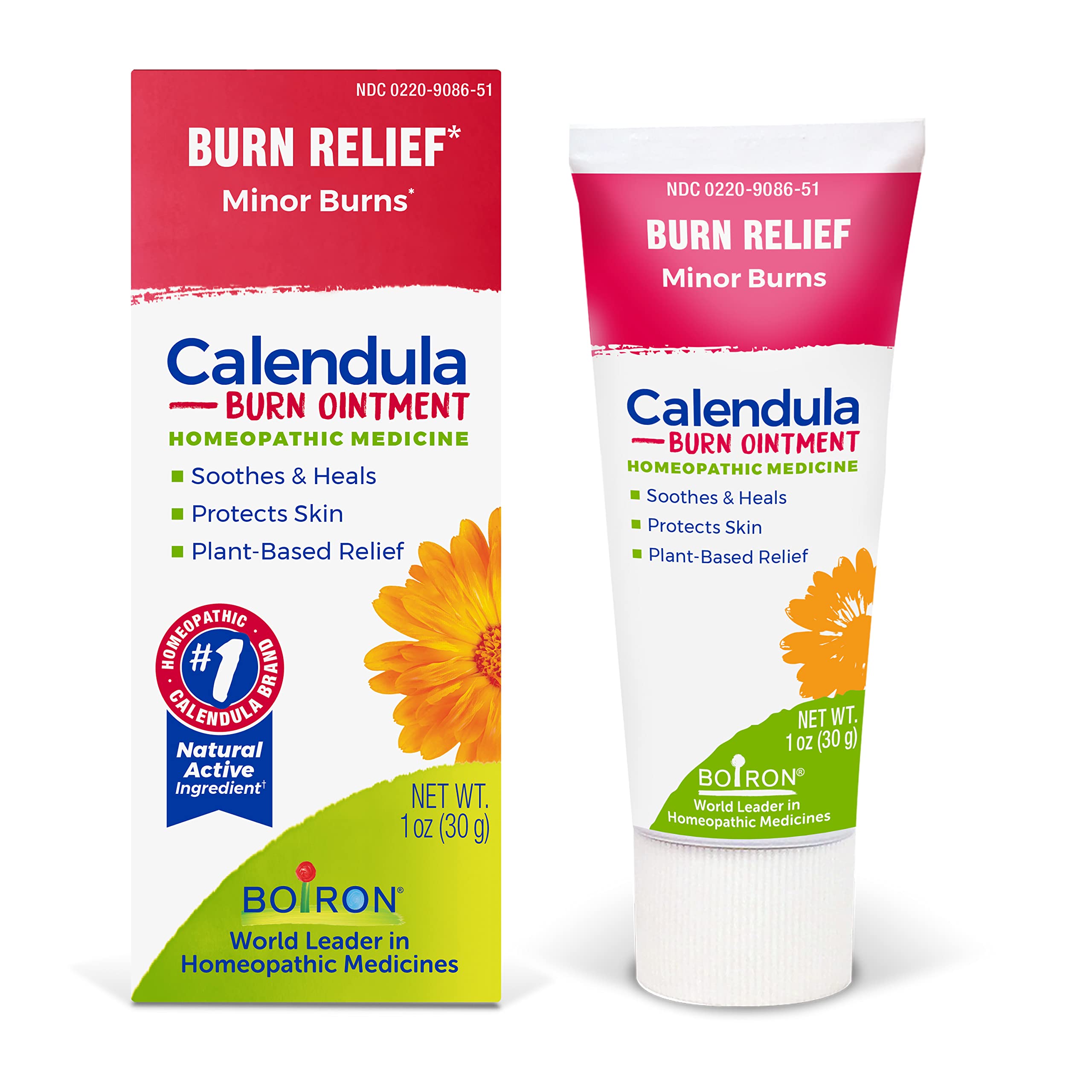 Boiron Calendula Burn Ointment for Relief from Minor Burns from Cooking, Friction, or Sunburns - 1 oz BoironAu supplements