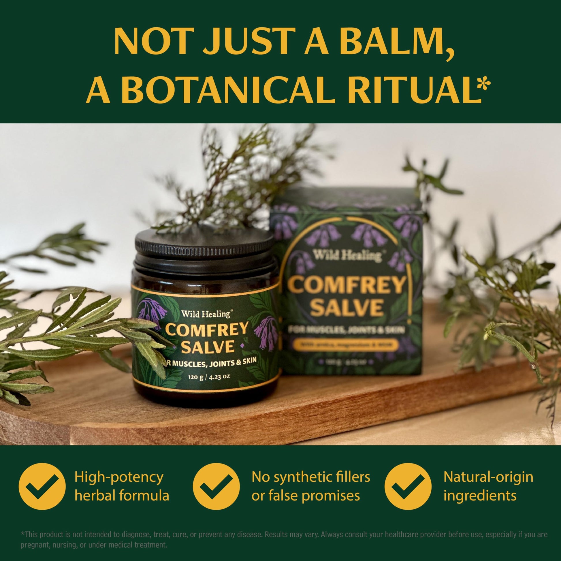 Wild Healing Comfrey Salve – Concentrated Herbal Balm with Arnica, Magnesium & MSM – Soothing Botanical Cream for Joints, Muscles & Dry Skin – 4.23 oz Wild HealingAu supplements